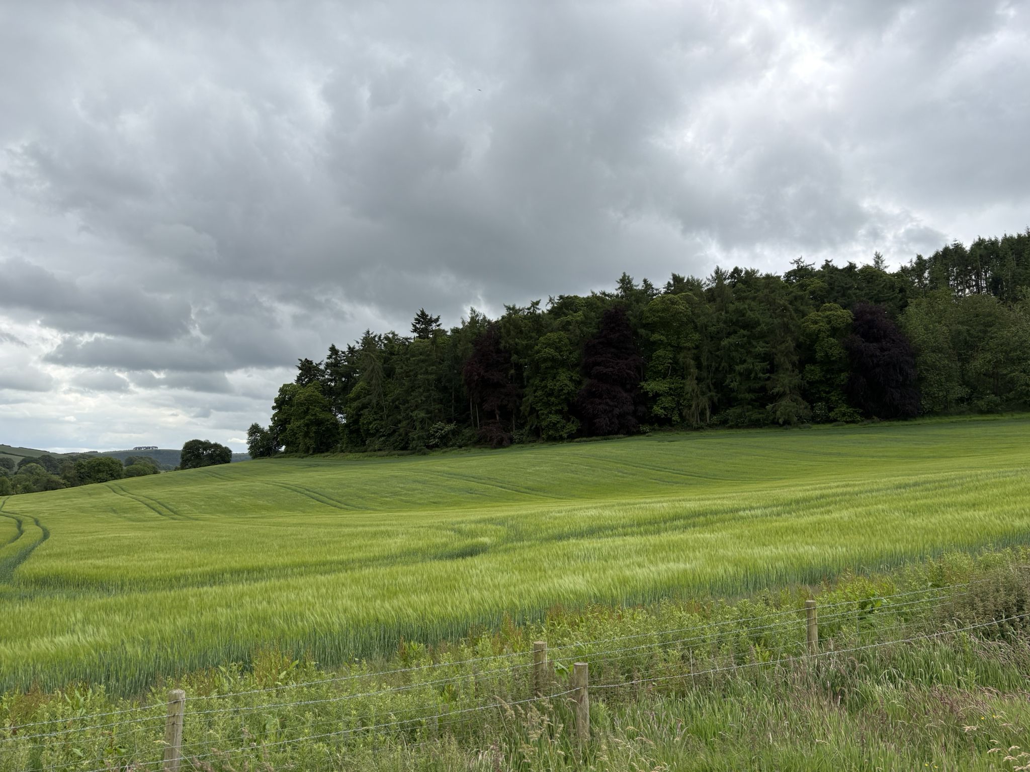 Clitterpit Hollow