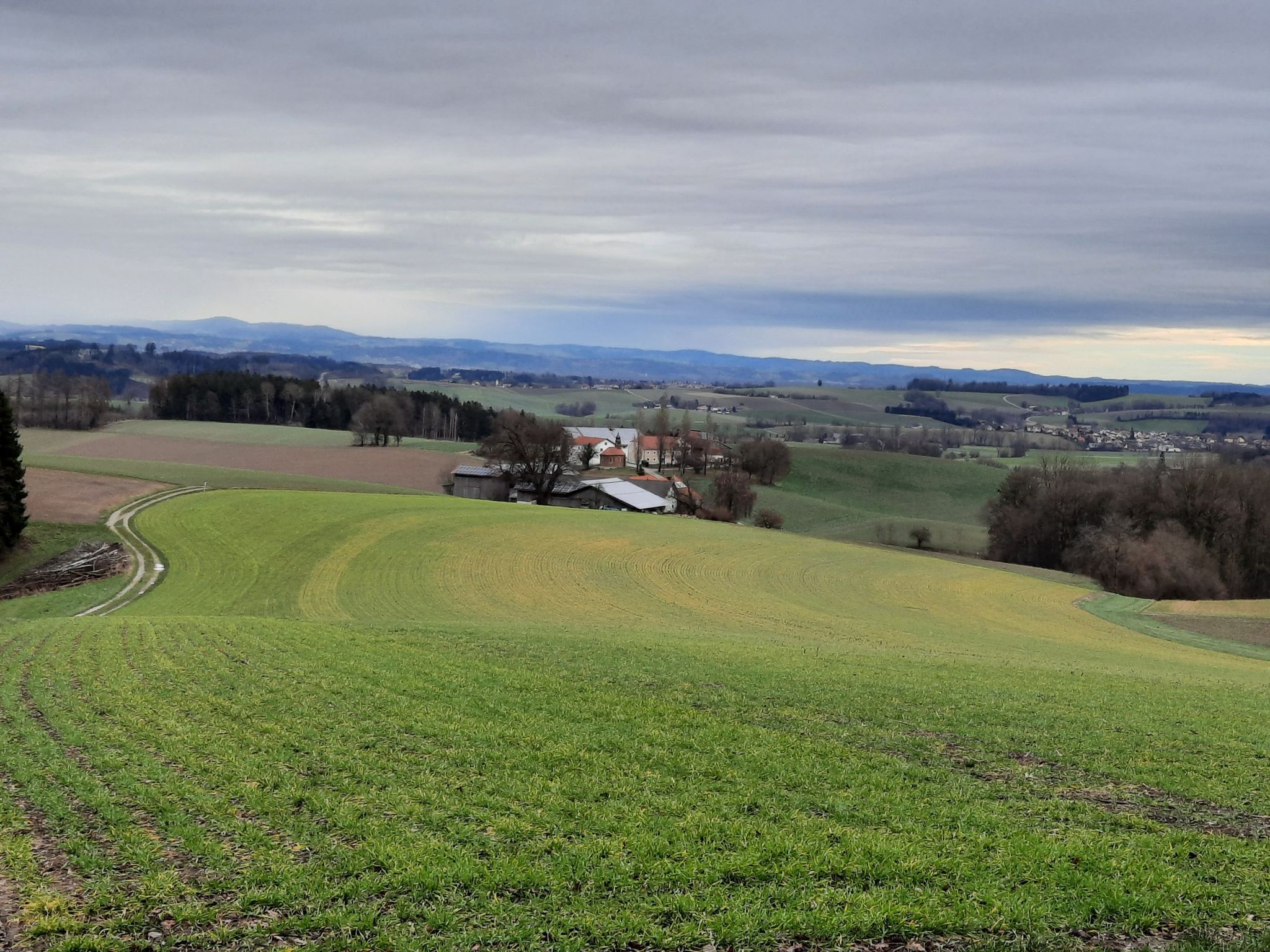 schöner Blick