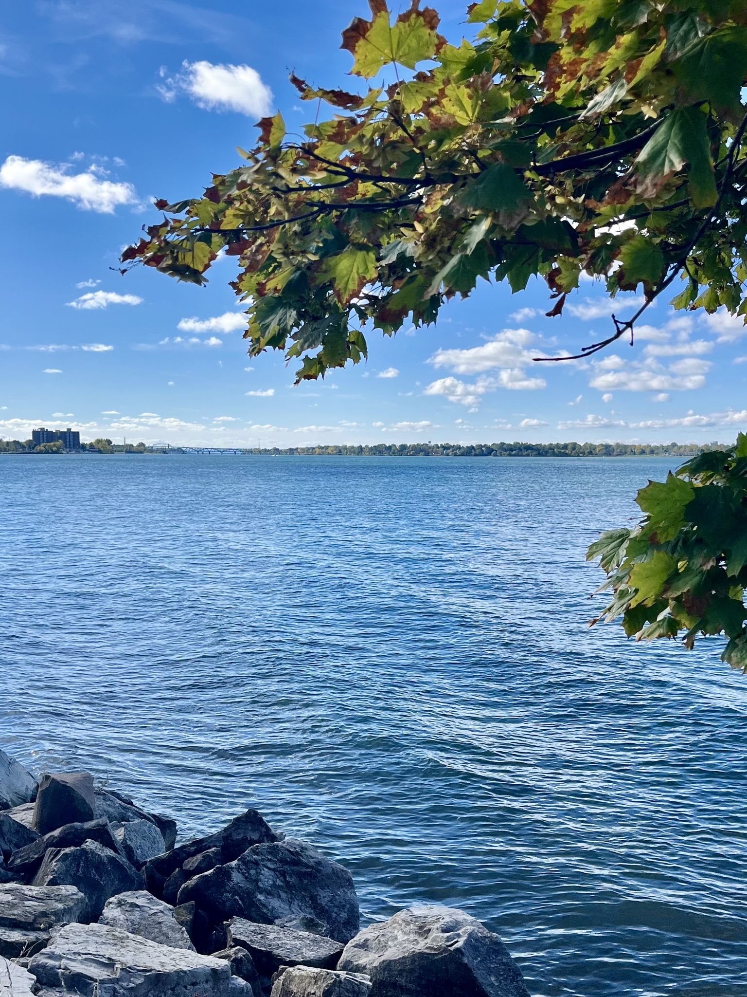 Blue water and sky with green leaves framing the top right, rocky foreground. - Grand Island Loop