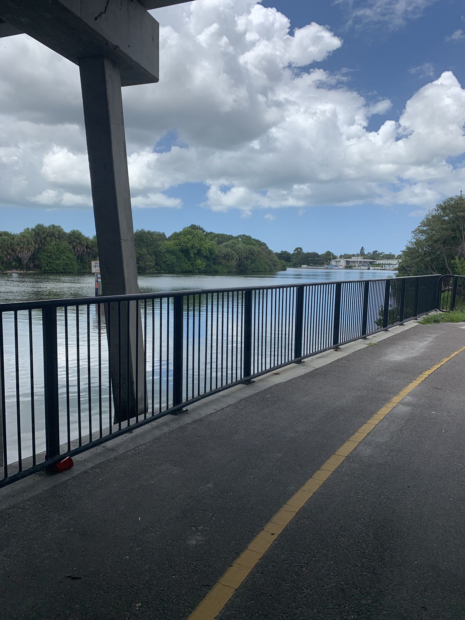 Paved path with a black fence next to water under a cloudy sky. - Sunshine Skyway Bridge loop from 54th Avenue South & College Landings Court