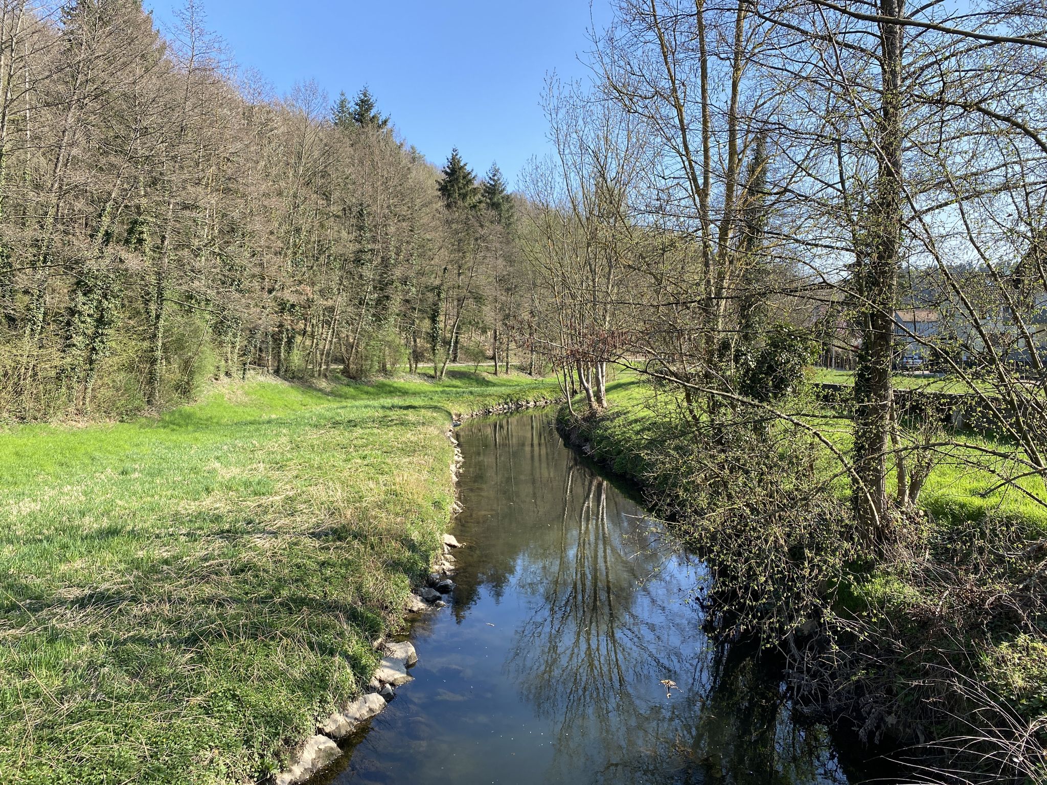 die Pfinz
