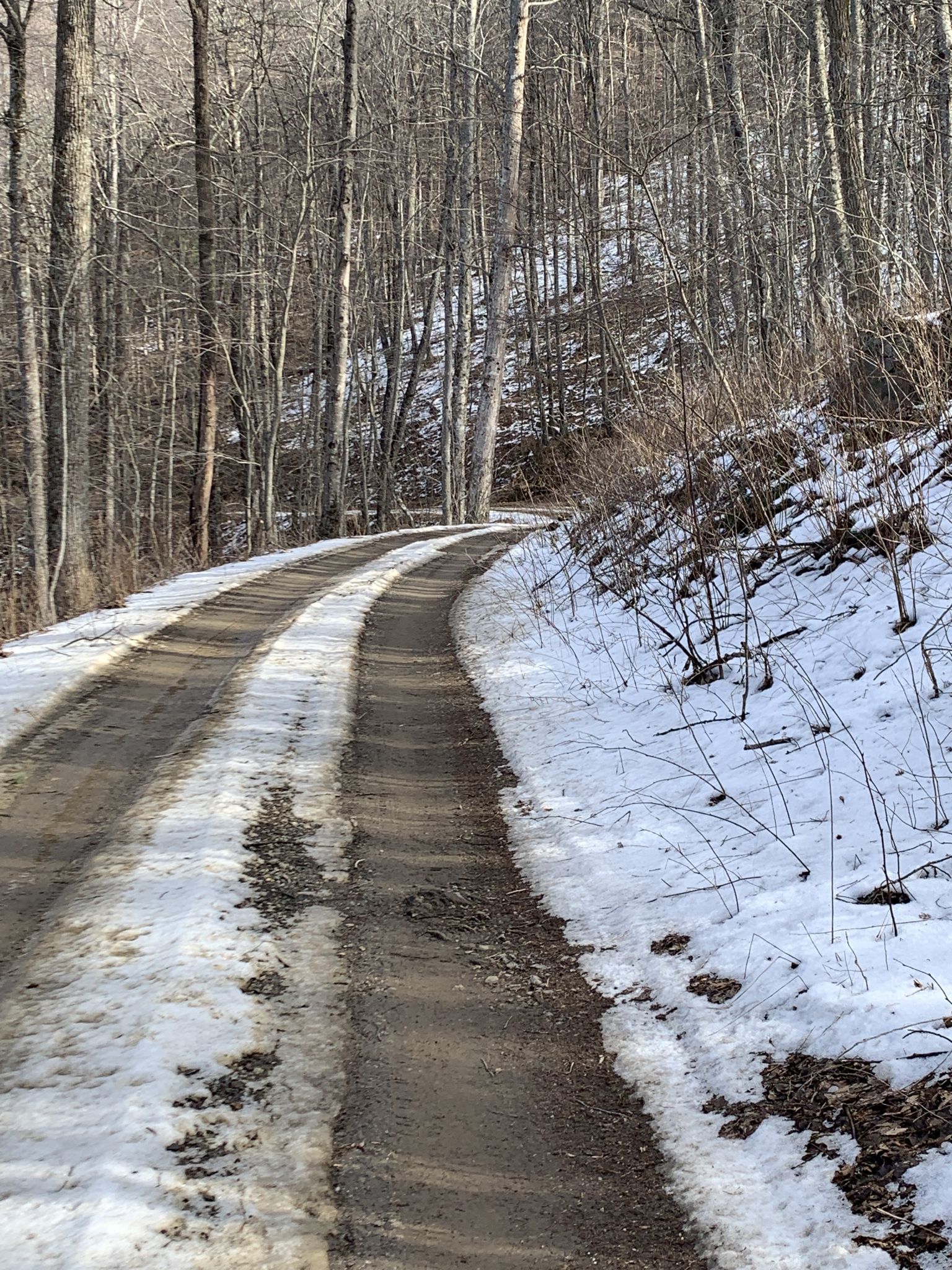 Snow covered ridge 