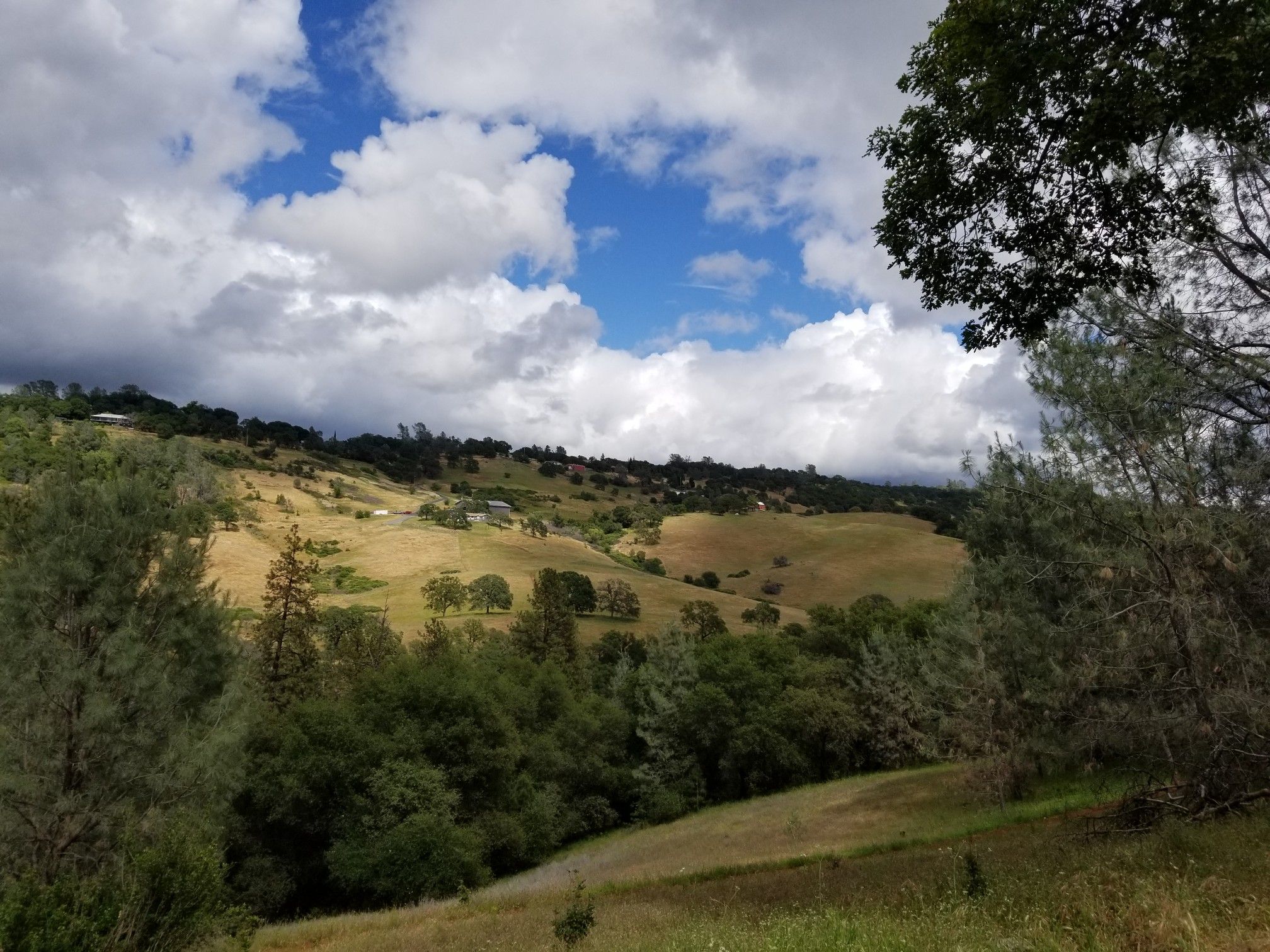 Golden rolling hills with scattered trees under a partly cloudy sky. - Start of Creekside trail – Hidden Falls Park loop from Auburn-Conheim
