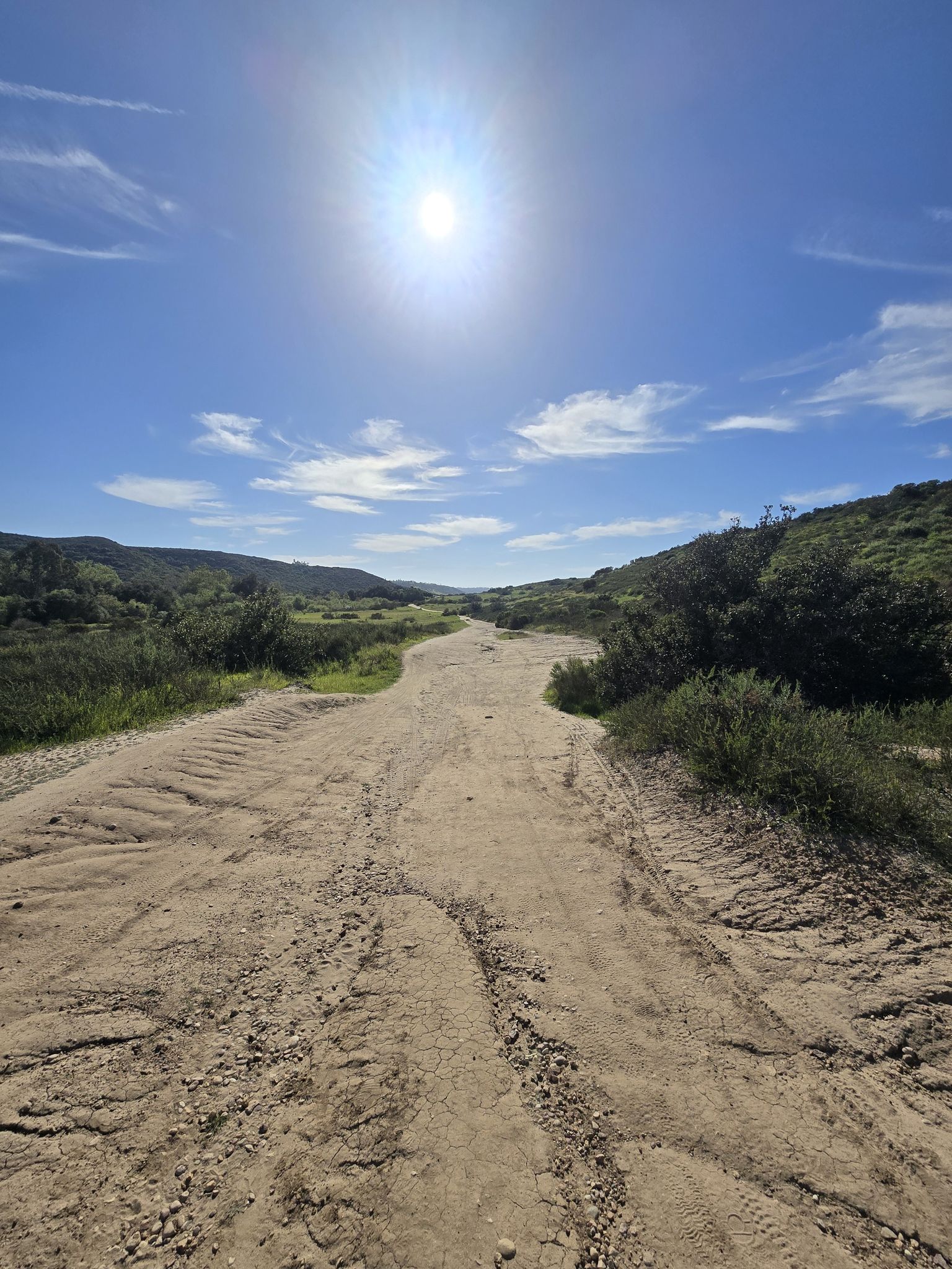 A wide dirt path through rolling green hills under a bright, sunny sky. - Los Peñasquitos Waterfall – Los Peñasquitos Falls loop from Del Mar Mesa Preserve