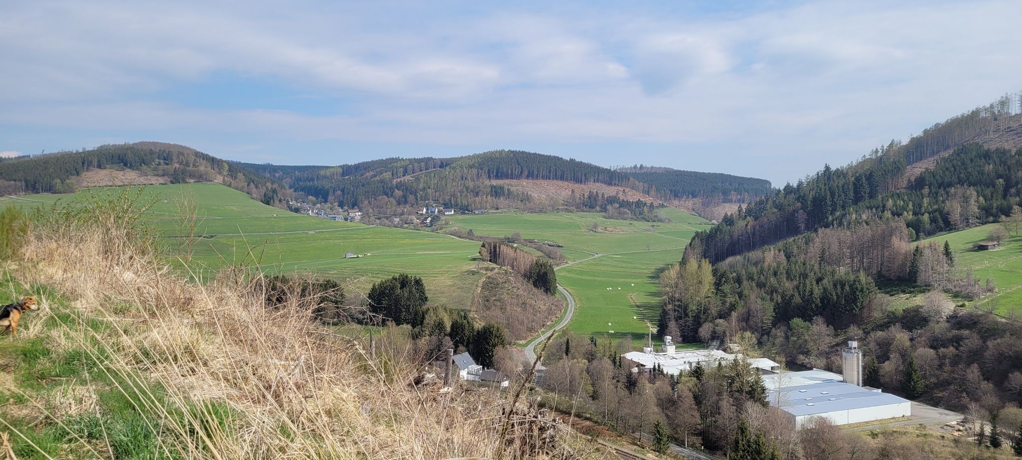 Steinbach / Steinbacher Grund
