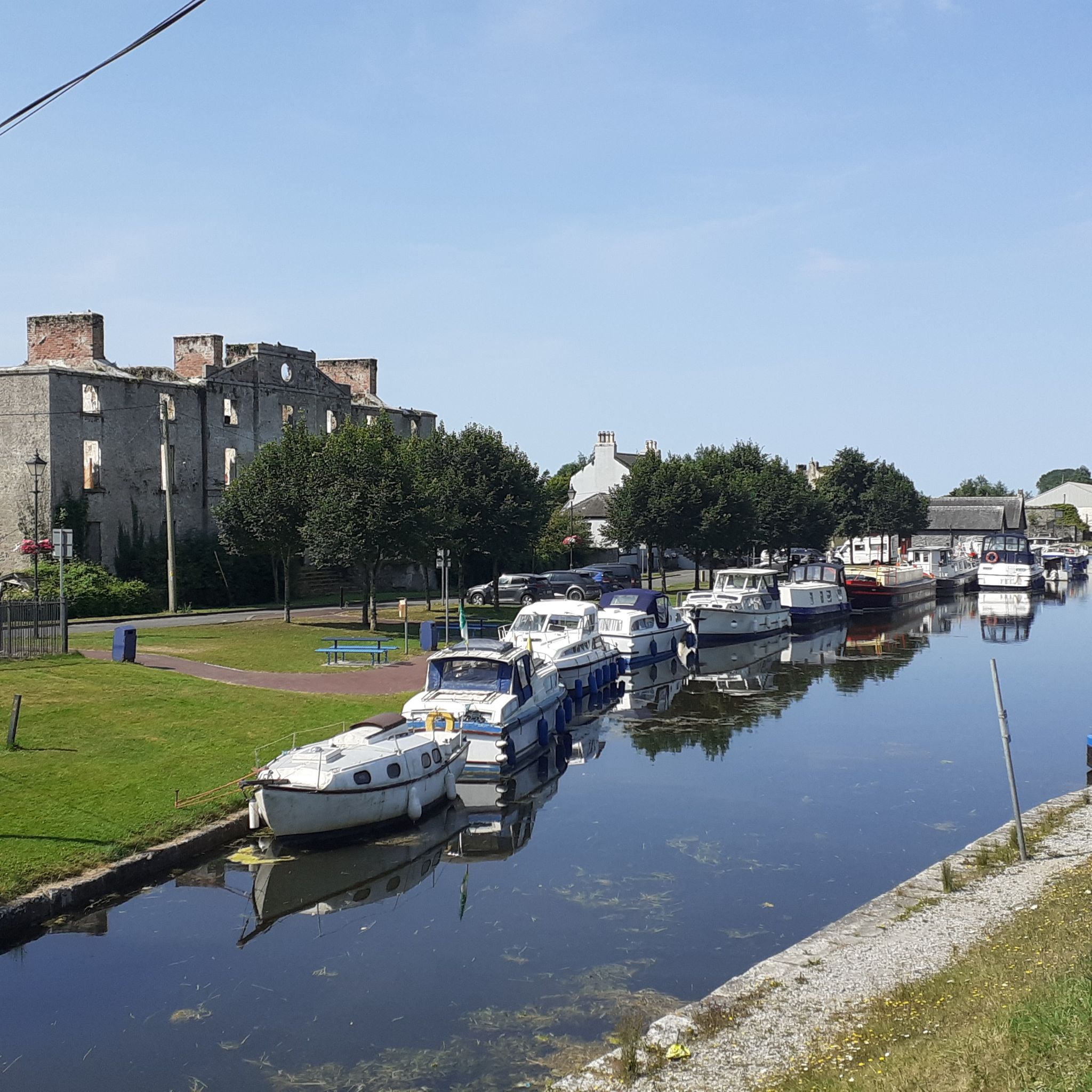 shannon harbour