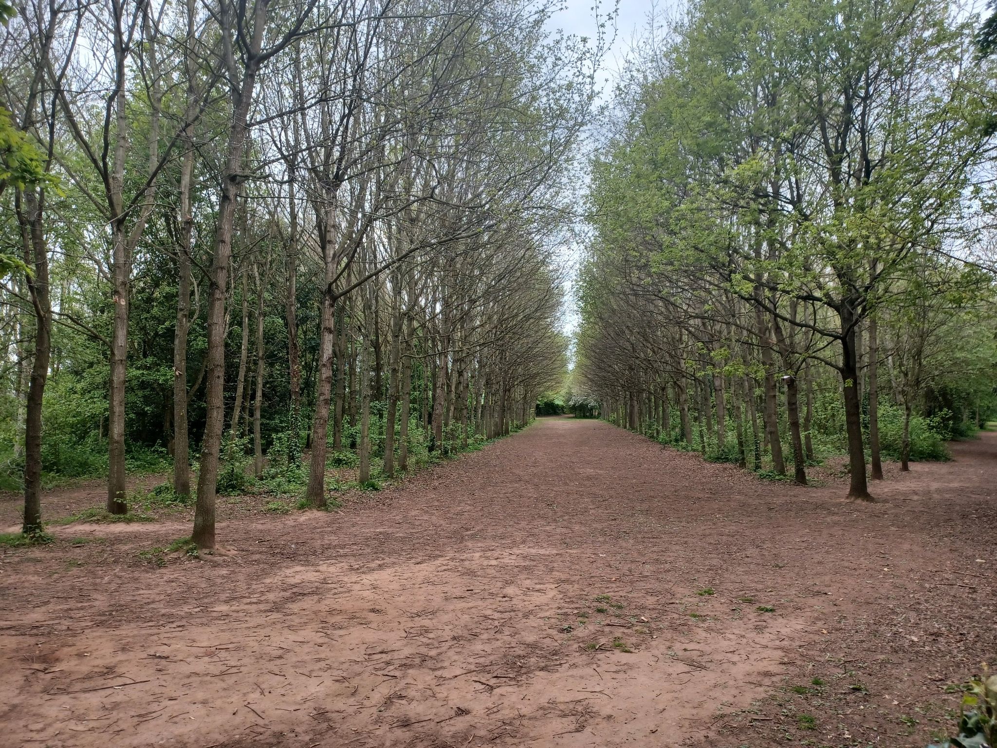 Newent Arboretum