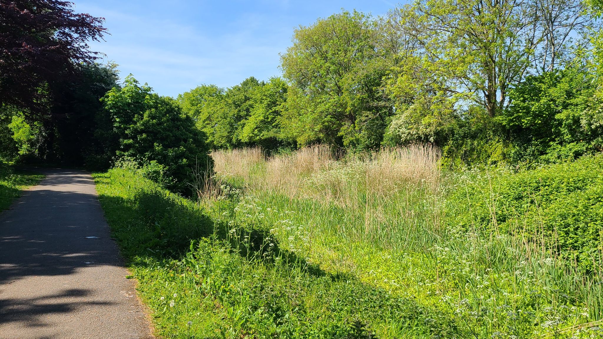 Woolston cycleway