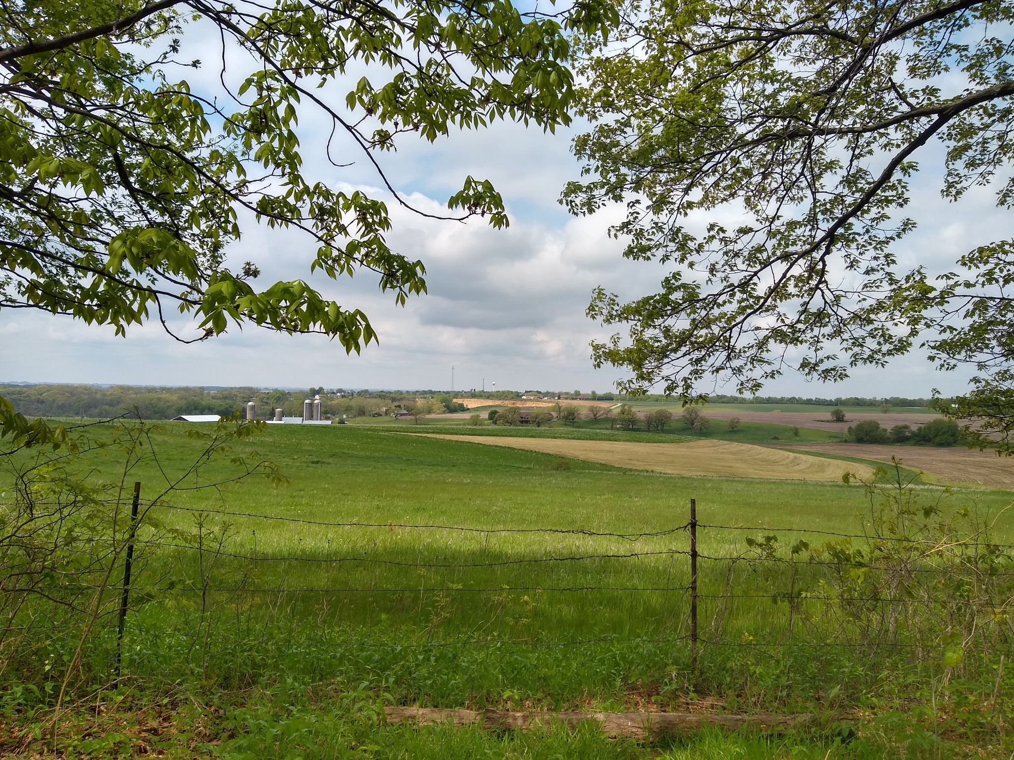 Expansive green fields under a cloudy sky, framed by tree branches. - Indian Castle loop from Blue Mound State Park