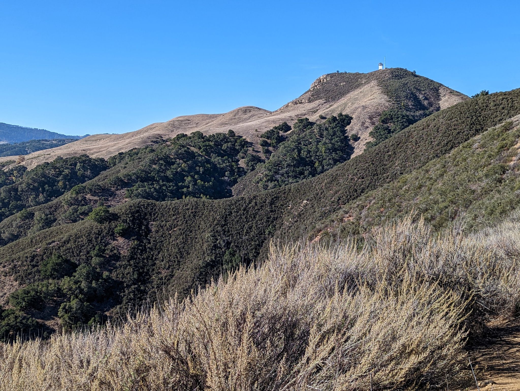 Rolling dry hills with scattered trees under a clear blue sky. - Maple Canyon Trail – Snively's Ridge Trail loop from Carmel Valley Rd / Garland Ranch