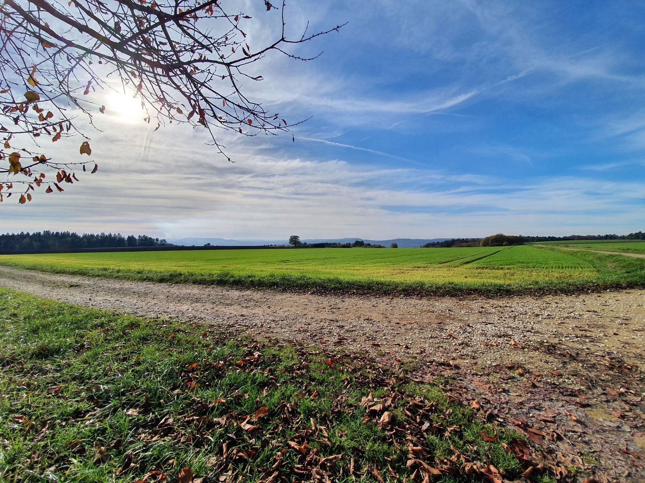 Rastbankblick