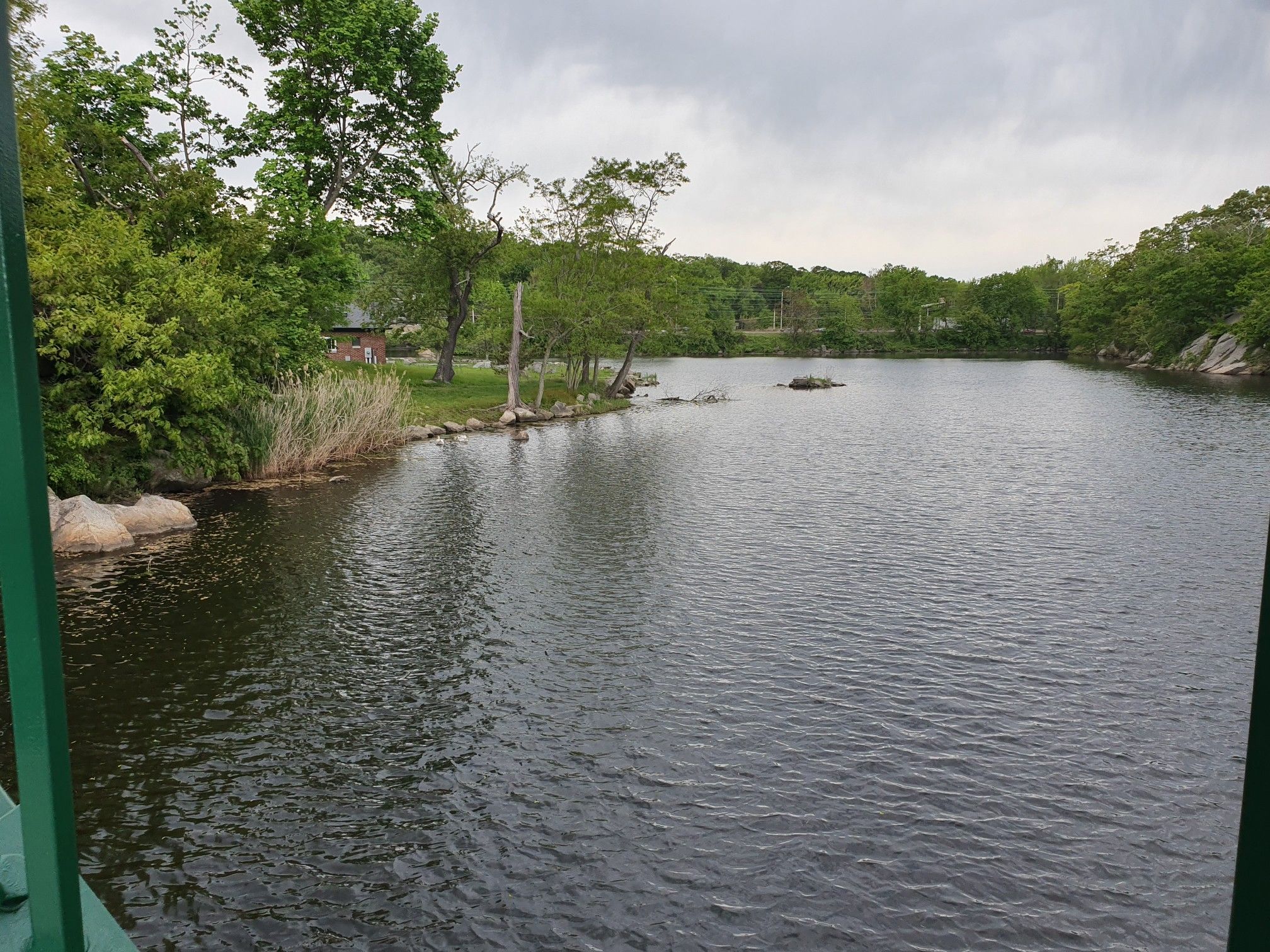 Dark lake surrounded by green trees and reeds under an overcast sky. - Bruce Park Drive - Quiet Road – Bruce Park loop from Greenwich