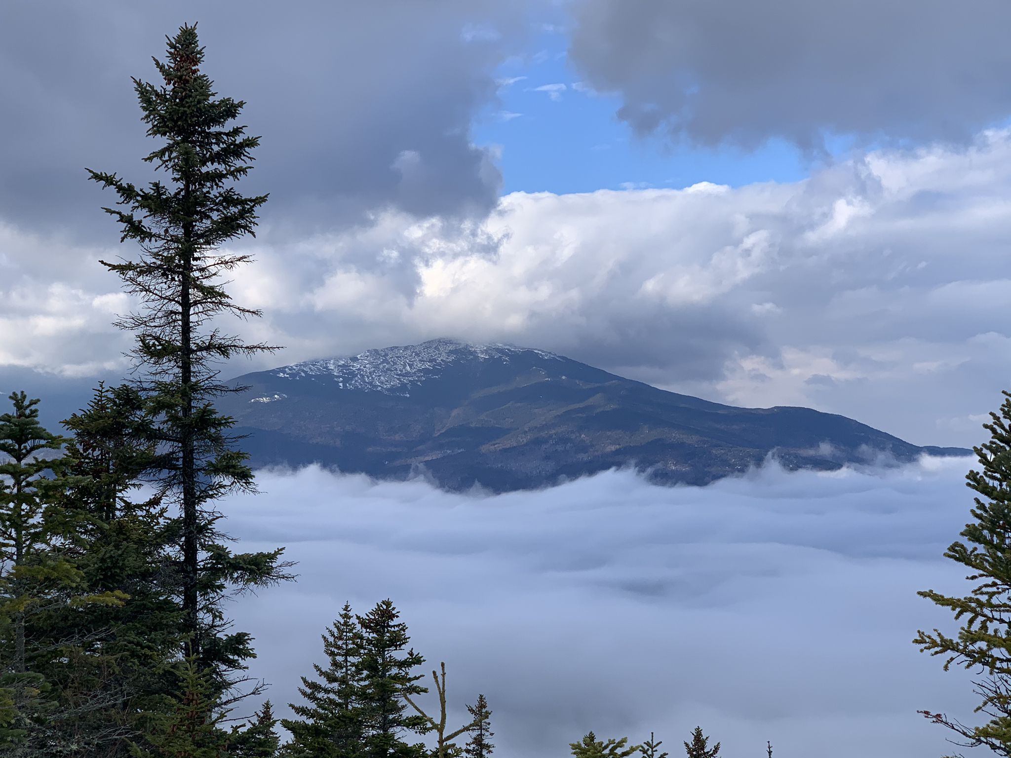 Mountain peak emerging from a sea of clouds, framed by evergreen trees. - Carter-Moriah Trail
