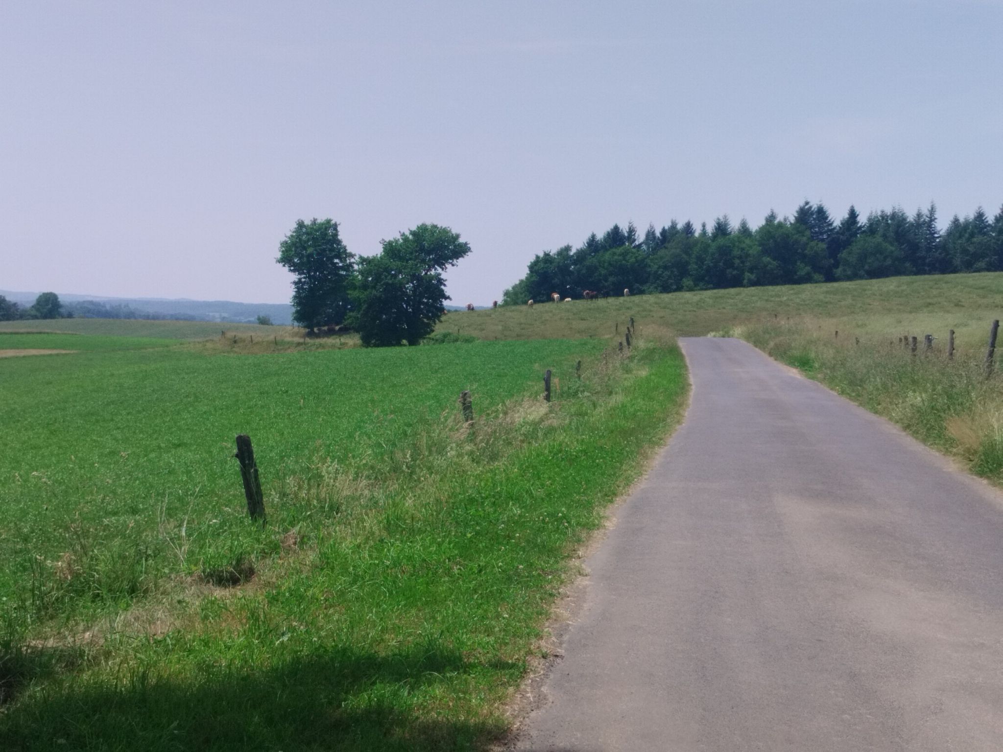D53, kleine Straße, hügelige Landschaft