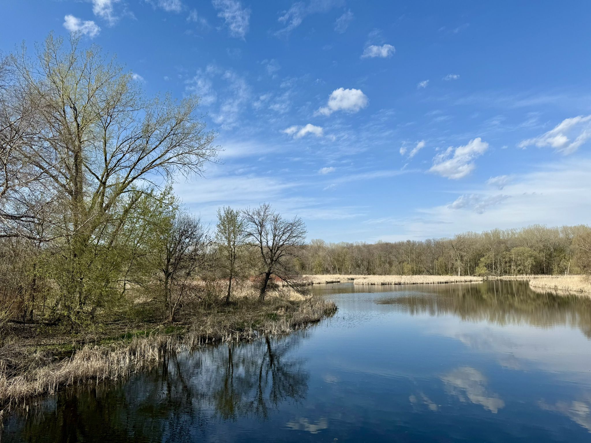 Calm lake reflecting blue sky and white clouds, surrounded by trees. - French Beach Loop