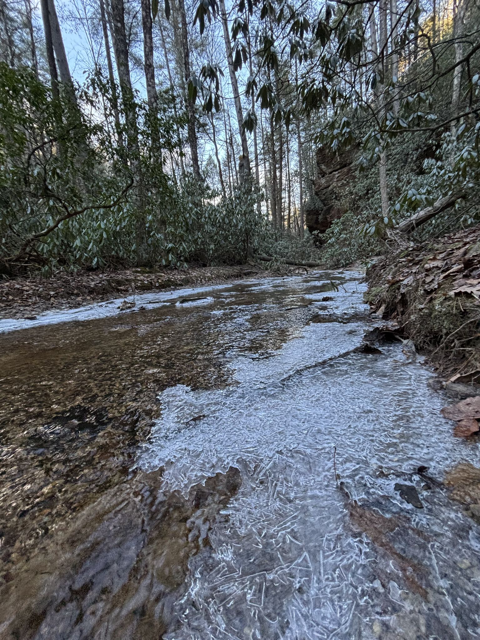 A partially frozen stream flows through a winter forest with bare trees. - Copperas Falls