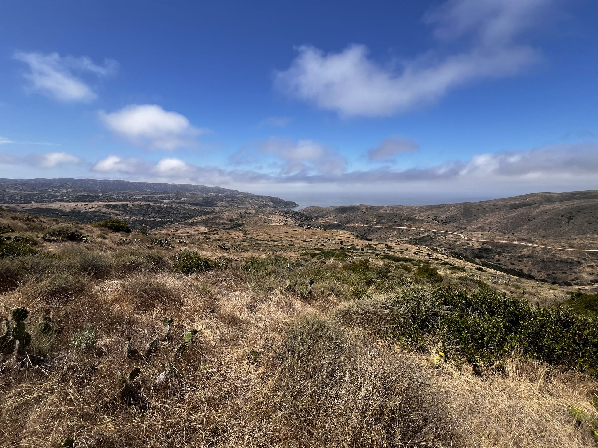 Vast dry hills and distant ocean under a bright, partly cloudy sky. - Trans-Catalina Trail