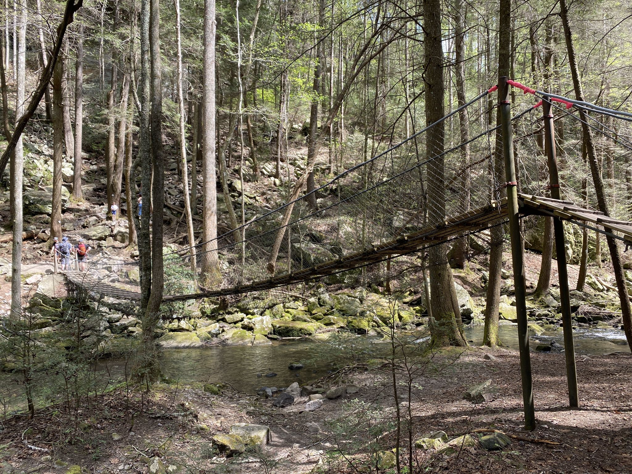 A suspension bridge spans a rocky stream in a sunlit forest with people walking. - Climbers Loop Trail