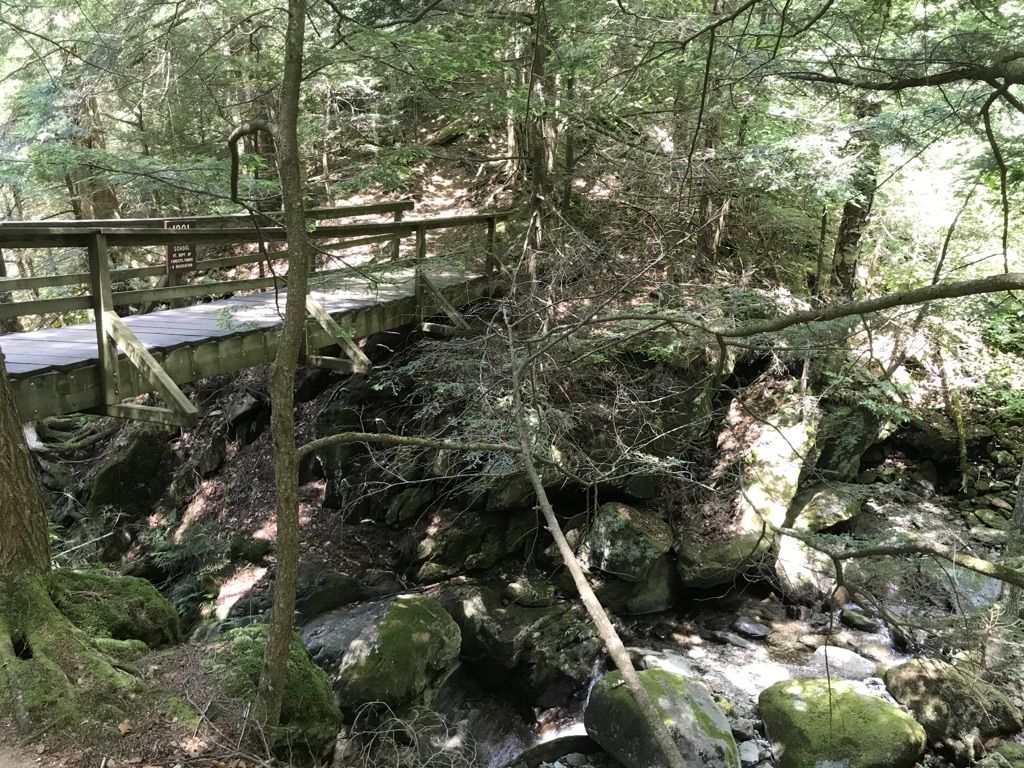 Wooden bridge over a rocky stream in a dense green forest. - Forest City Trail