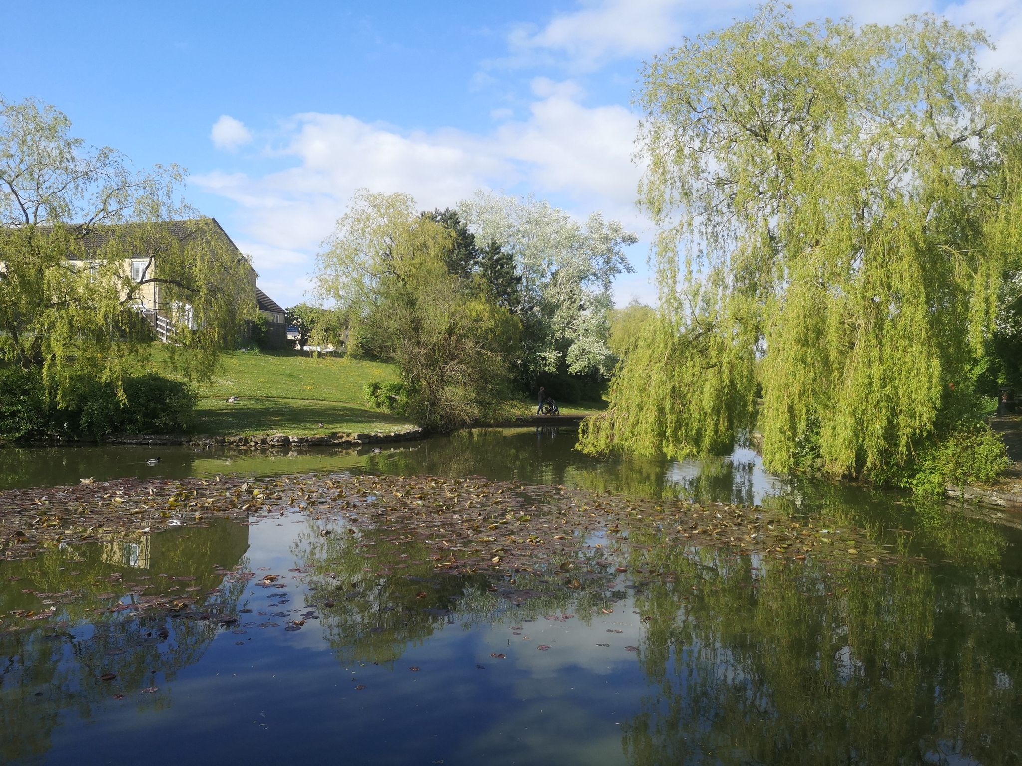 Jubilee lake