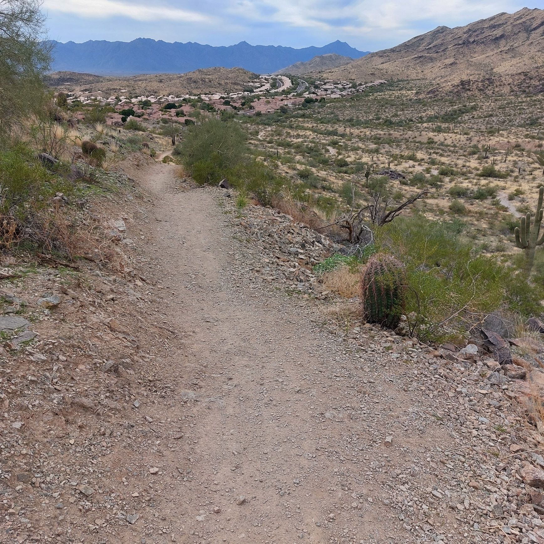 A dirt trail winds through a desert landscape with distant mountains under cloudy skies. - DC Ray Connector – Desert Classic Trail loop from South Mountain Preserve - Telegraph Pass Entrance