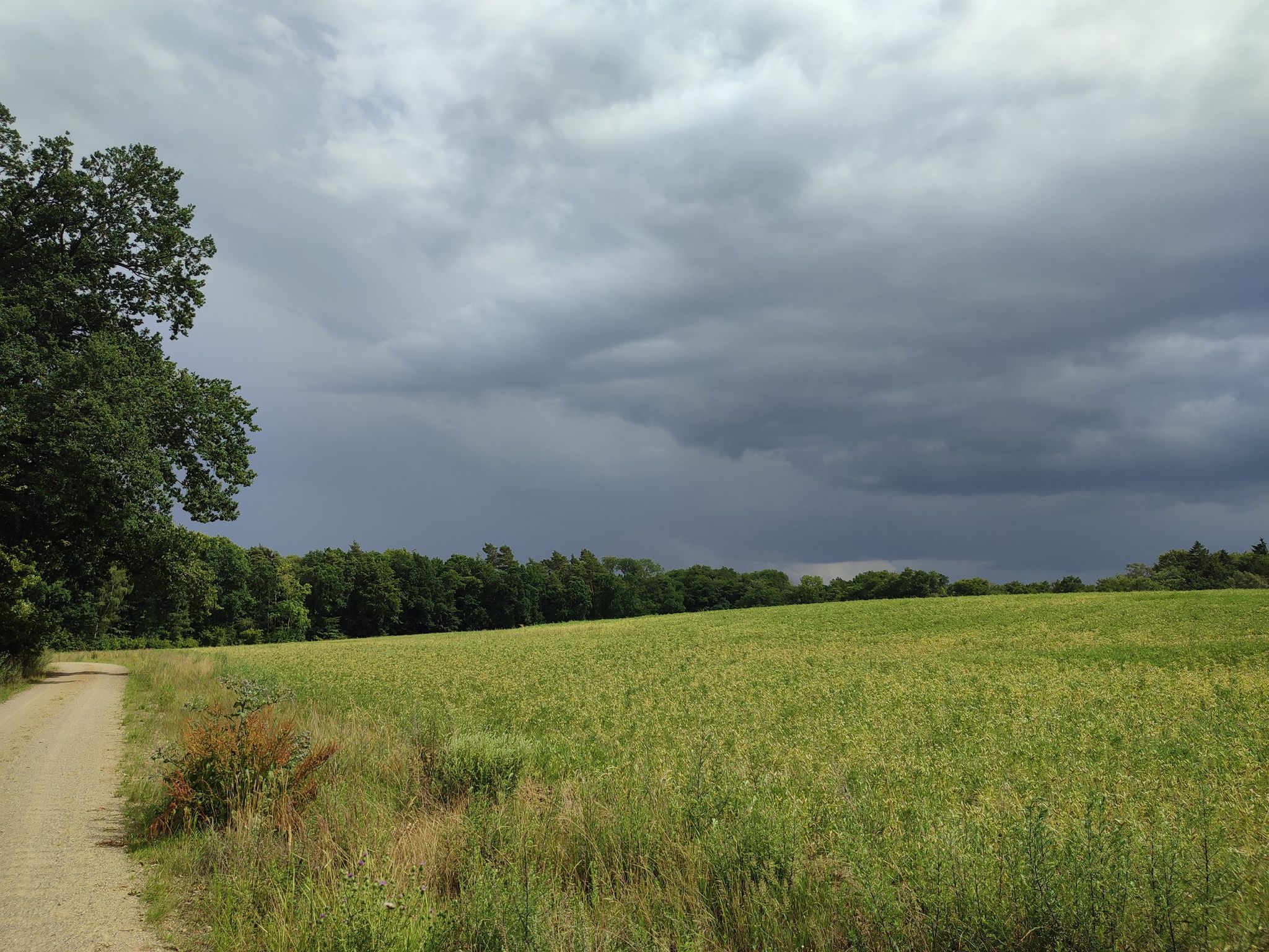 Regenwolken über Stechow