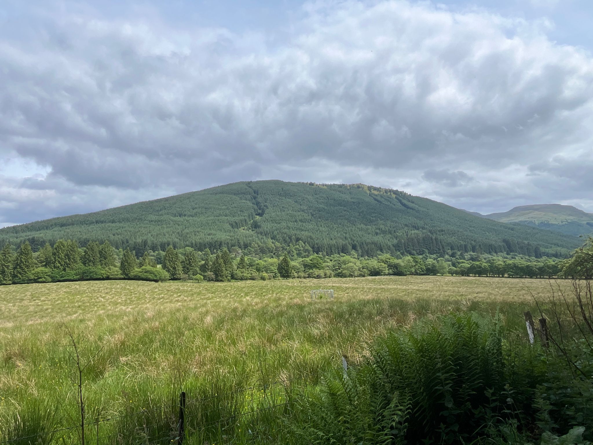 Beinn Lagan (465m)
