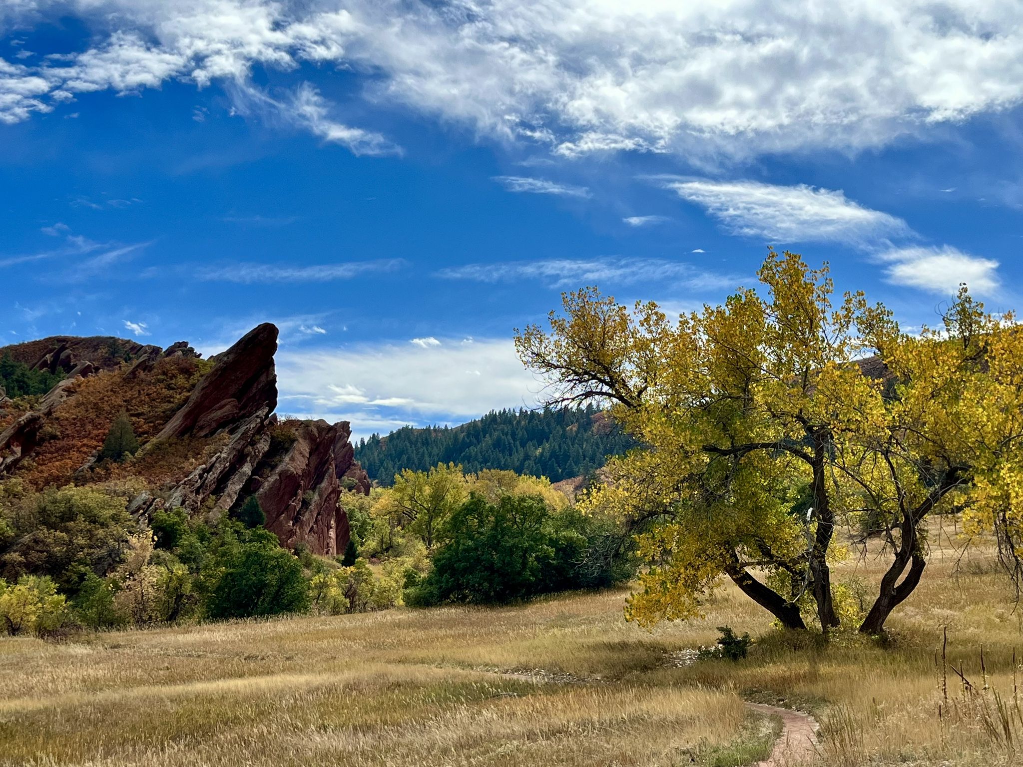 Red rock formations, yellow trees, and a grassy field under a bright sky. - Carpenter Peak Loop Trail