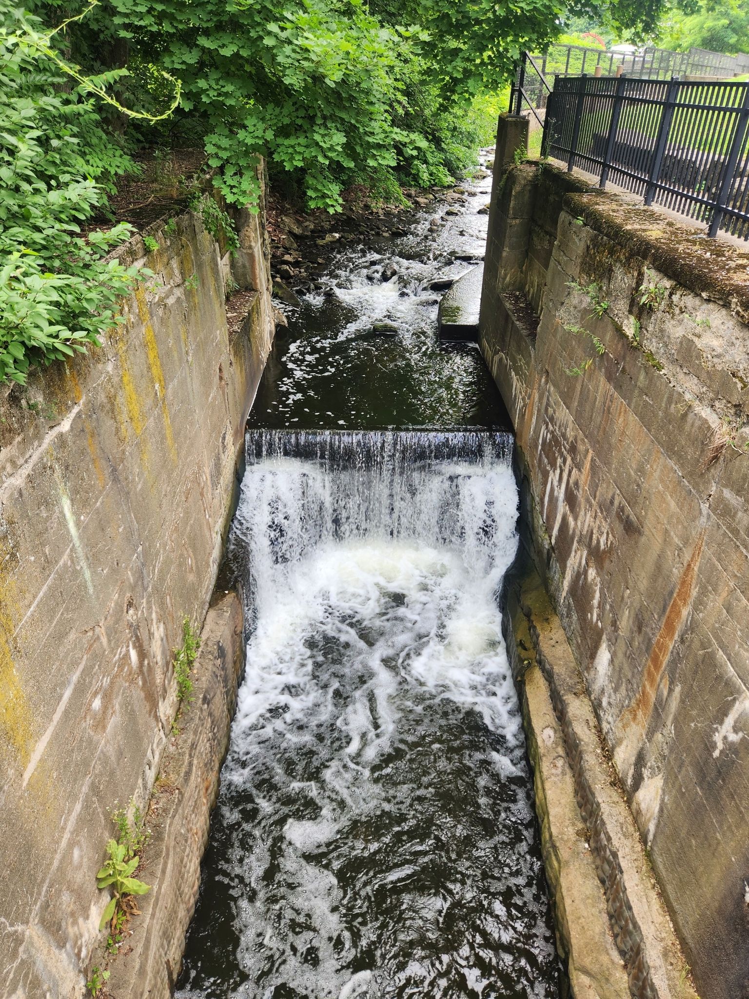 Narrow concrete channel with a small waterfall, surrounded by green foliage. - Ohio & Erie Canal Towpath: Mustill to Memorial Parkway