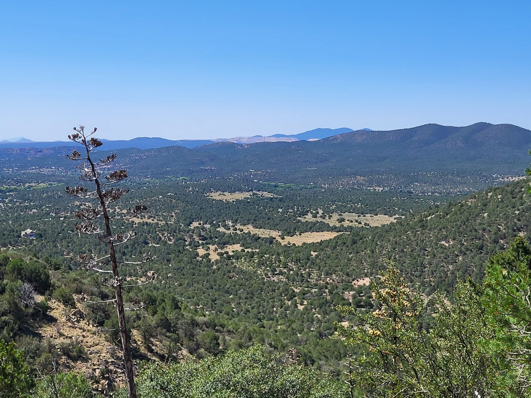Expansive green valley with scattered trees and distant mountains under clear blue sky. - Gomez Peak via Angel and Pinon Loop