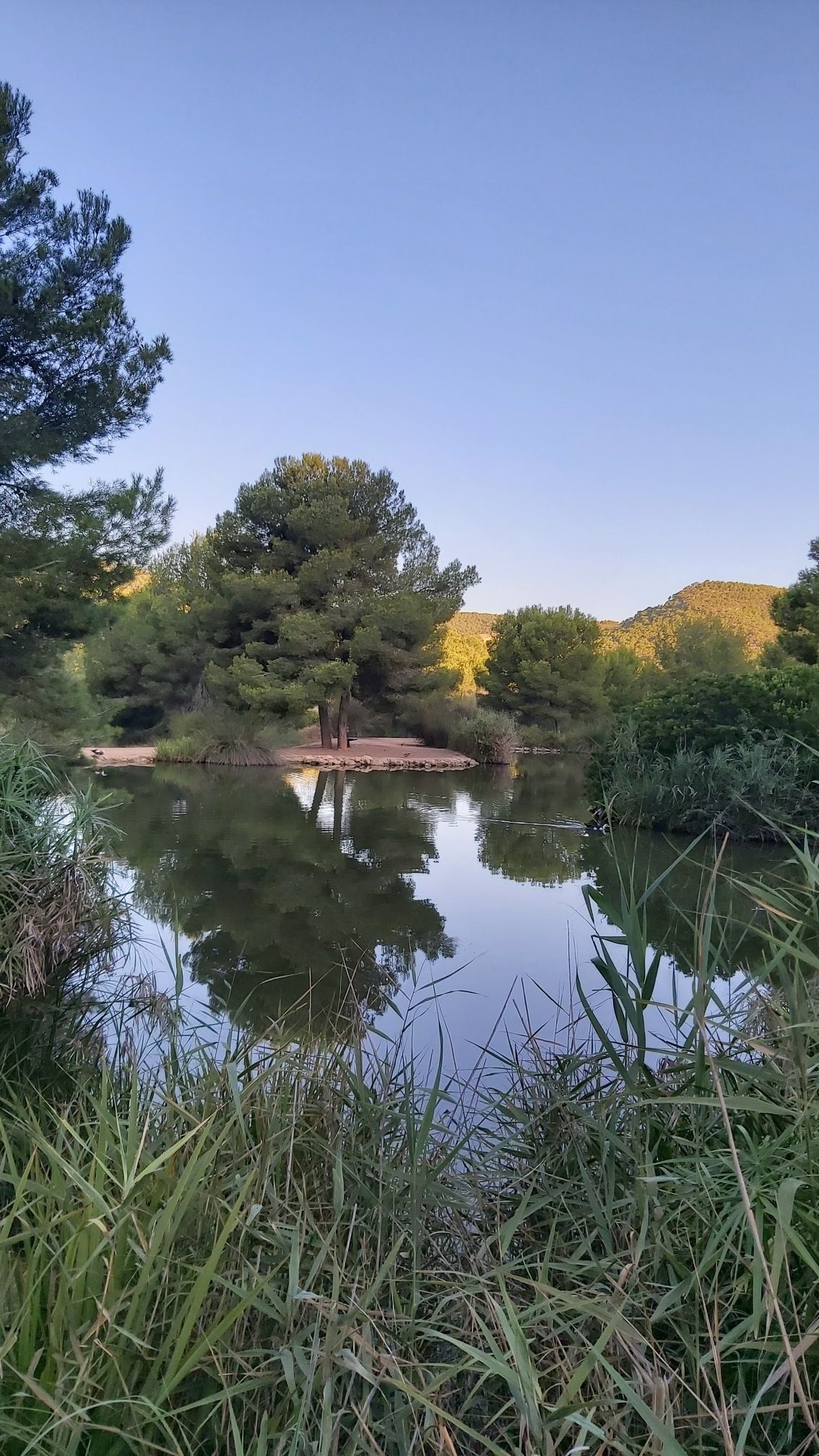 lago 
