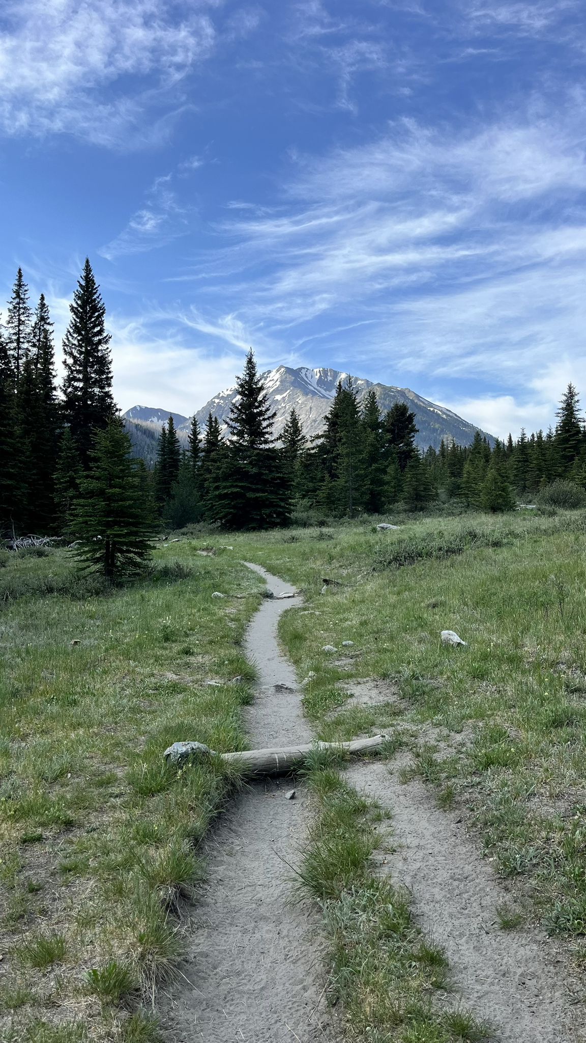 Dirt path leading to a snow-capped mountain, surrounded by green trees. - Sacajawea Peak Trail