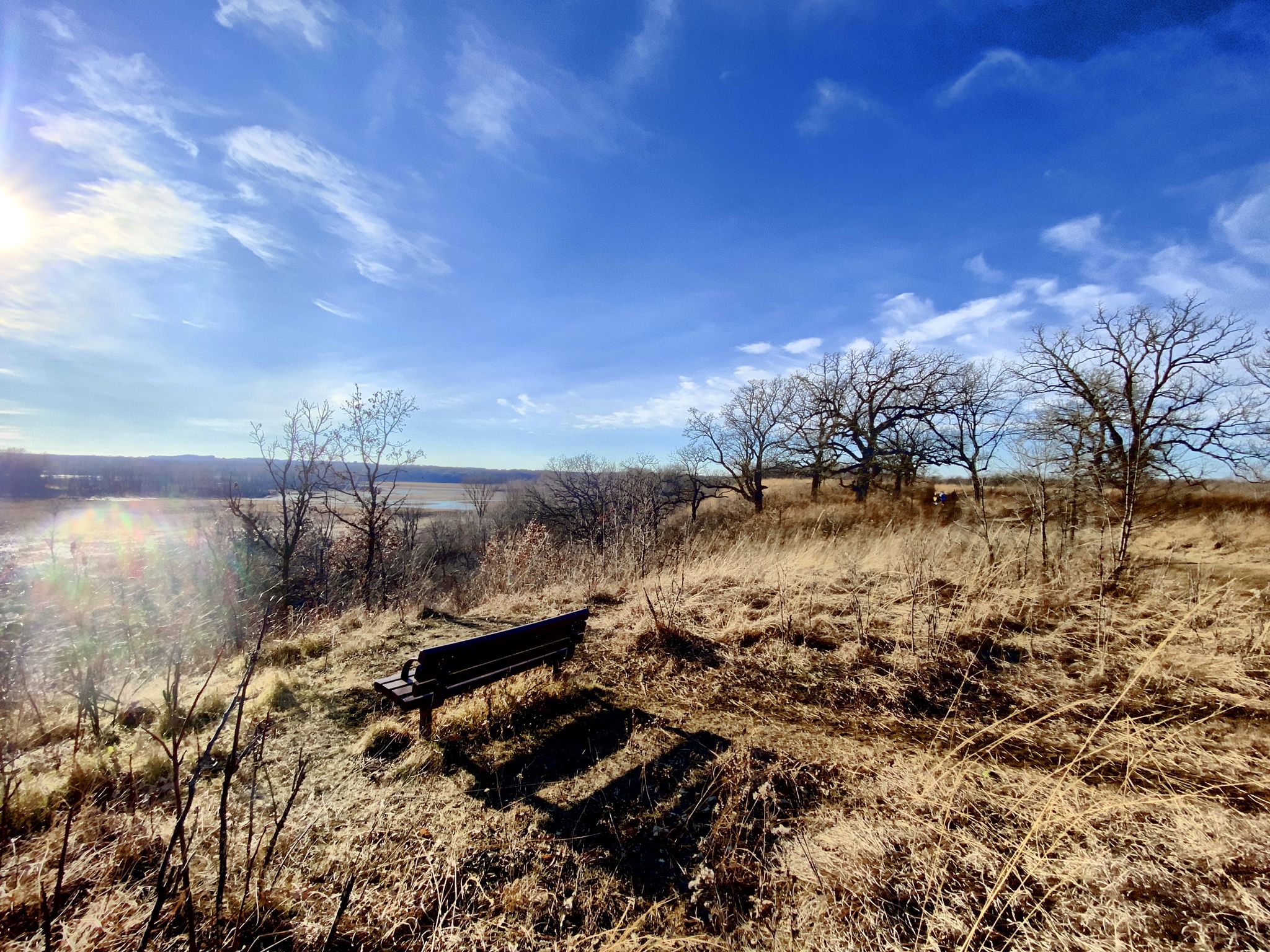 Bench on a sunny hill overlooking a valley with bare trees. - Mazomani Trail