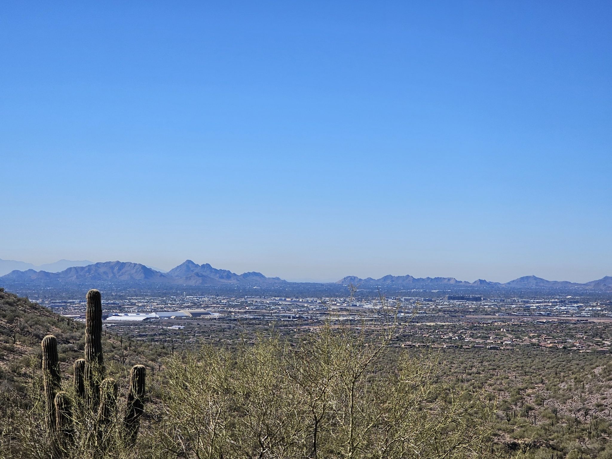 Saguaro cactus overlooks a sprawling city and distant mountains on a clear day. - Gateway Loop Trail