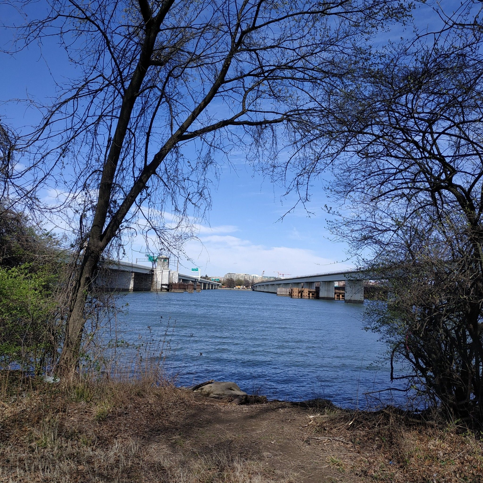 River view through bare trees, with distant bridges under a blue sky. - Mount Vernon Trail