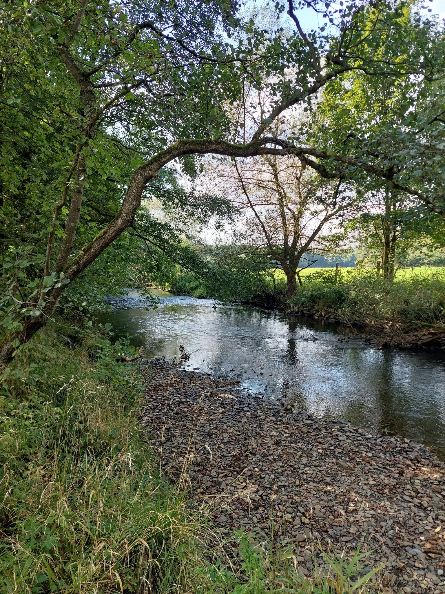 Idylle pur