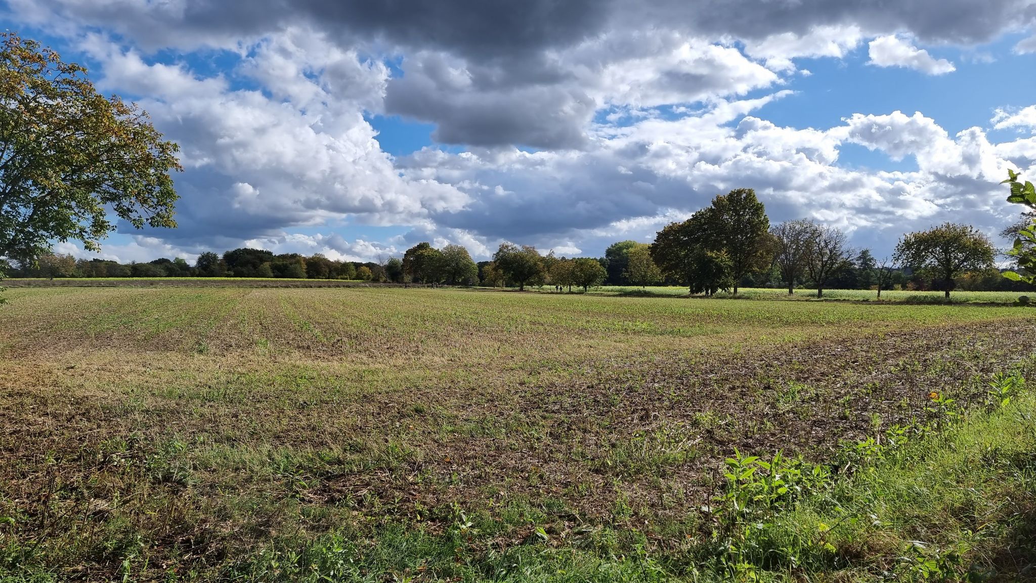 Blick übers Feld 👁