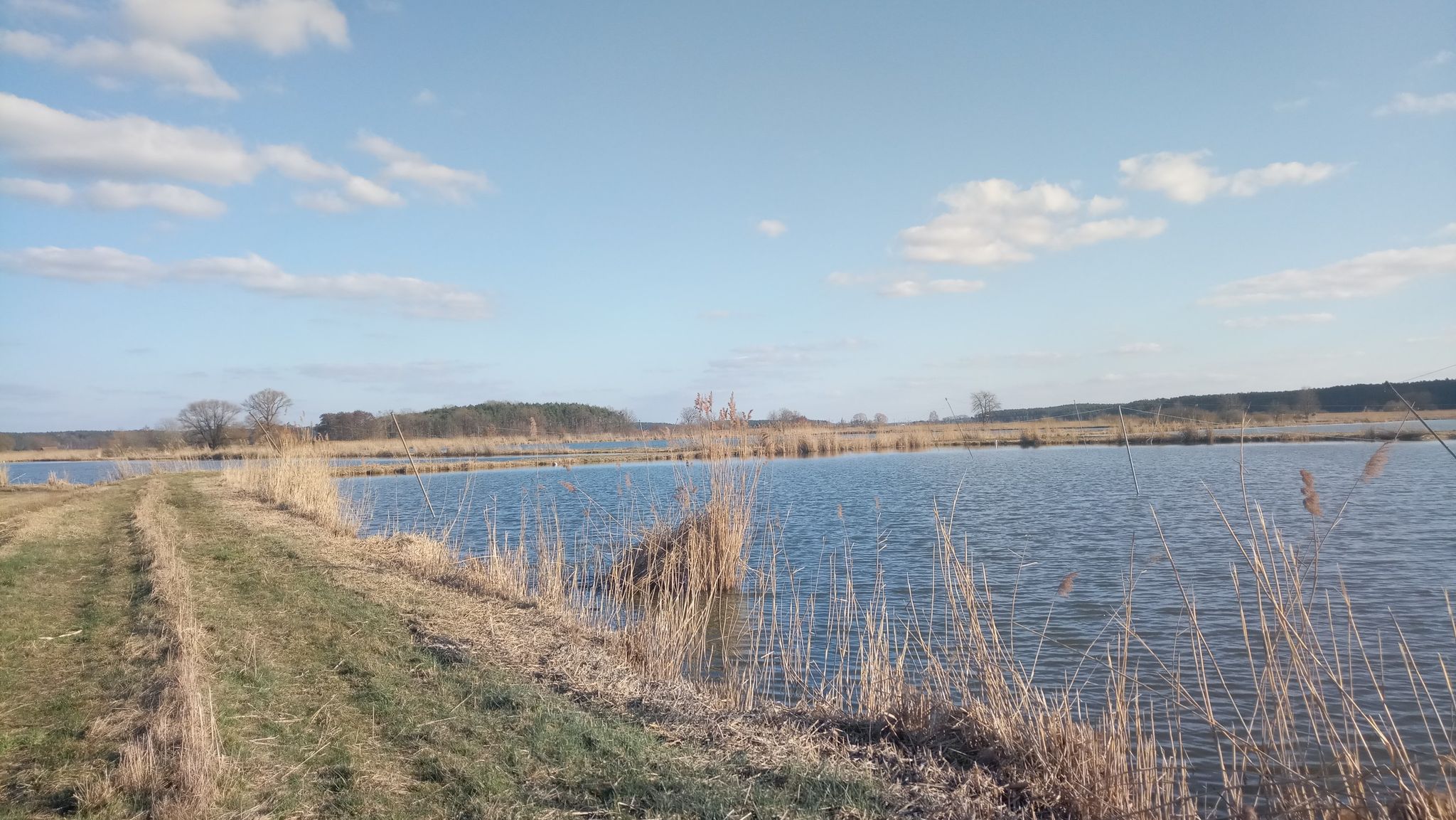Weihergebiet Moorhof
