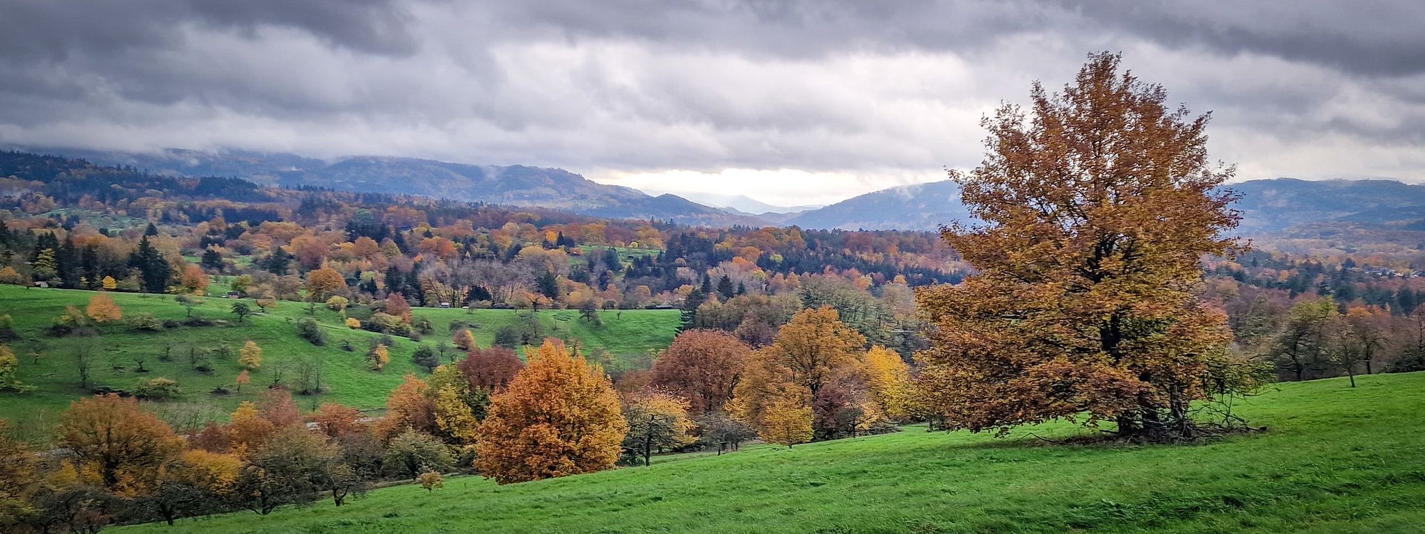 Michelbach, Aussicht von Rotenfelser Straße