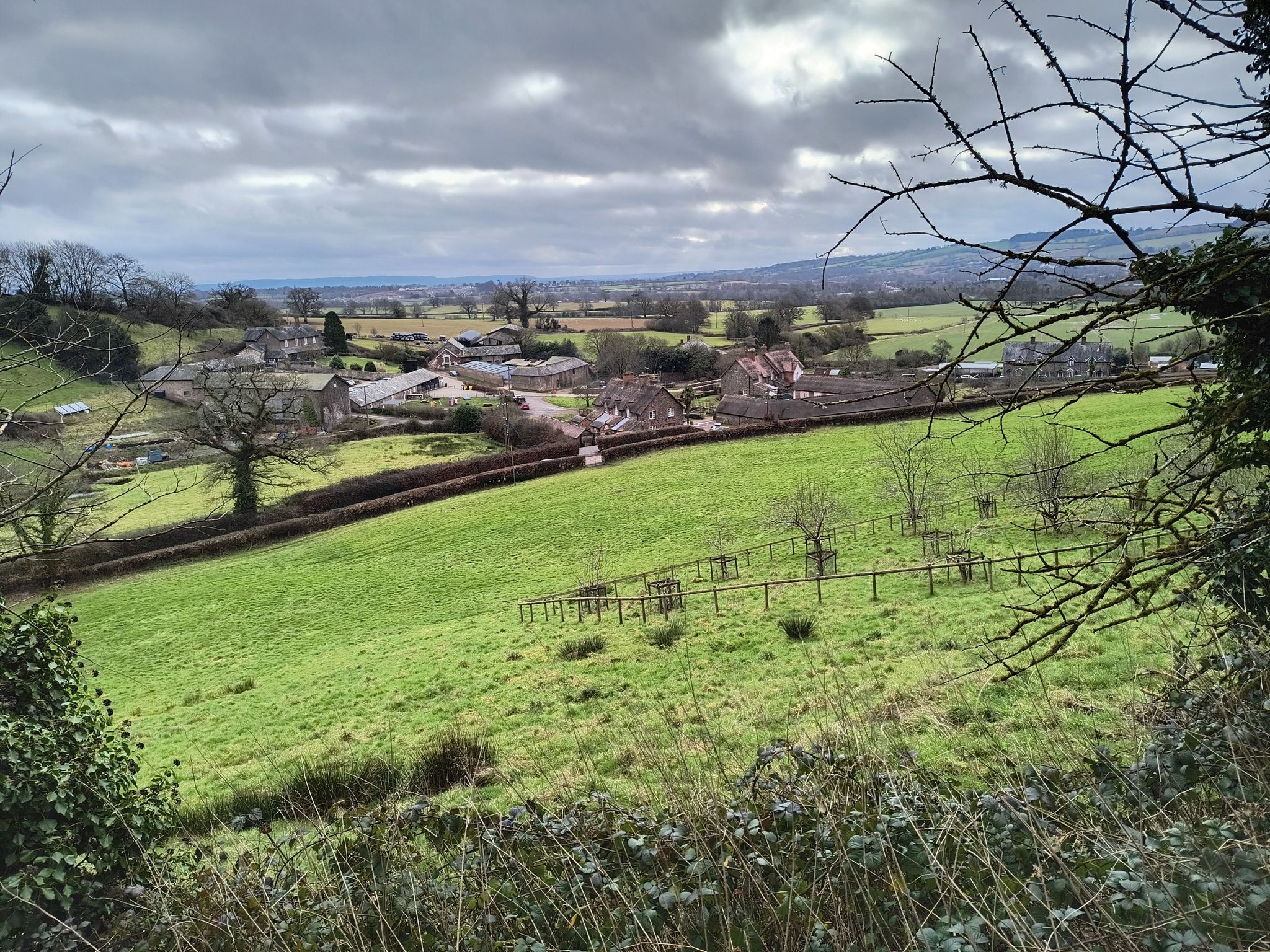 Chettiscombe farm