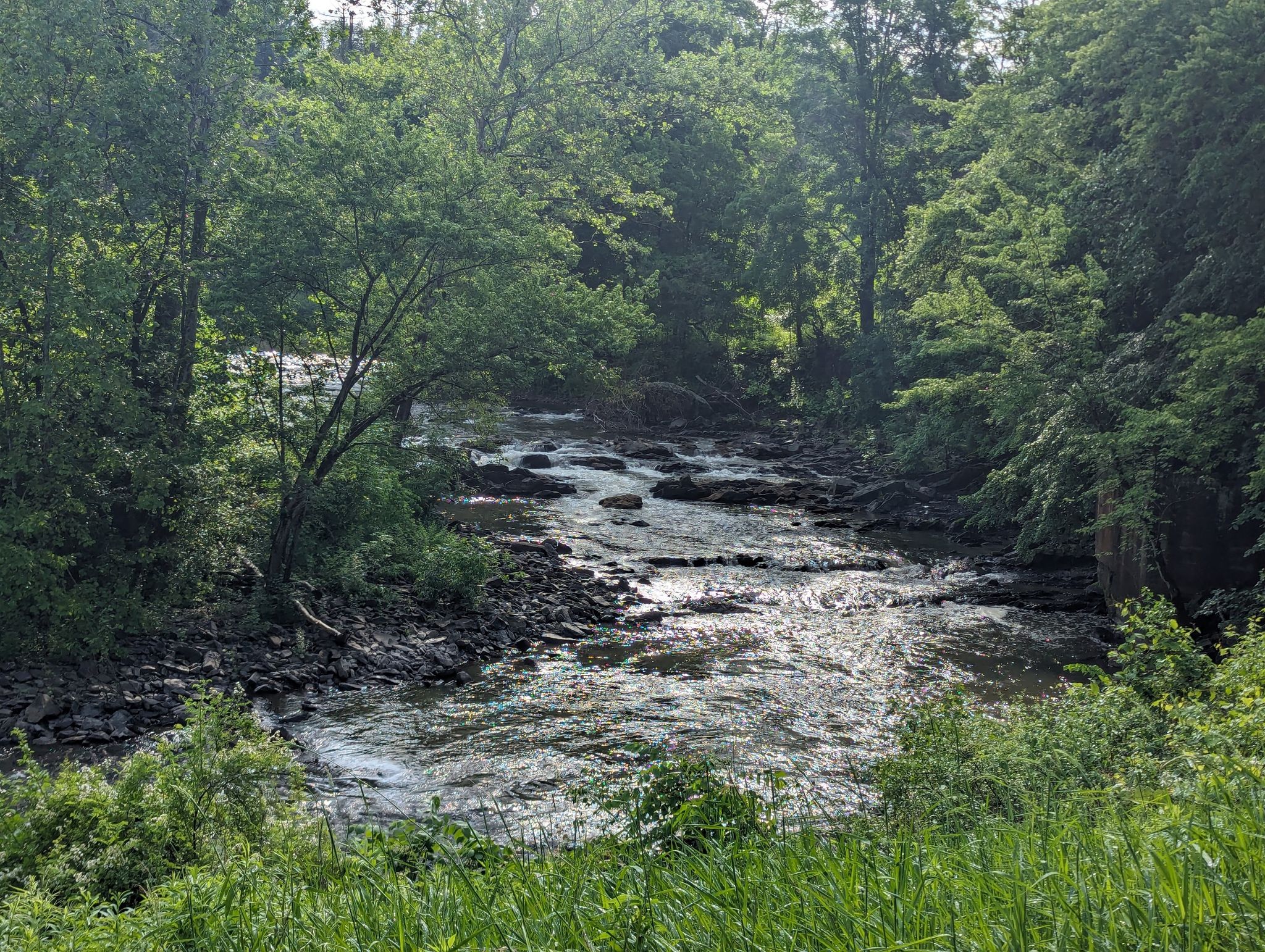 Rocky river flowing through a lush green forest under dappled sunlight. - Albany-Hudson Electric Trail