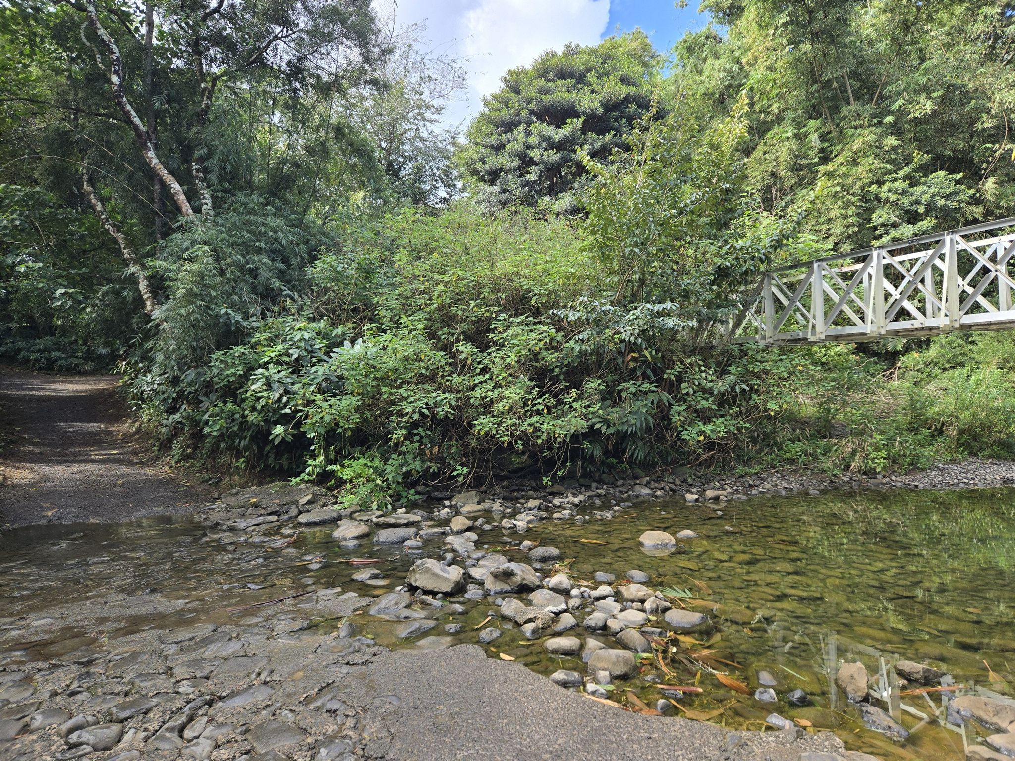 A white wooden bridge crosses a rocky stream, surrounded by dense trees. - Twin Falls Trail run