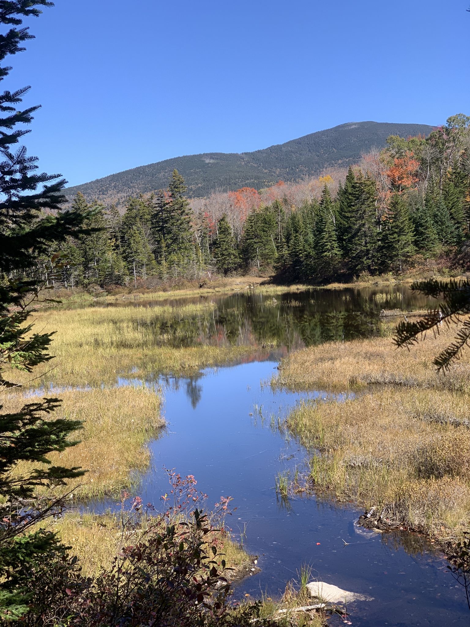 Serene pond reflecting blue sky and vibrant autumn foliage on distant mountains. - Zealand Summit via Zealand Trail and Appalachian Trail