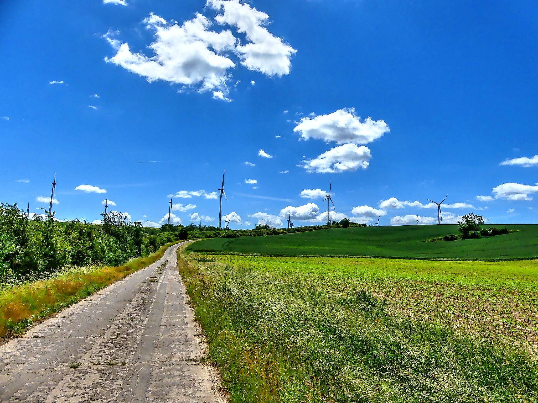 schöner Weg, besser als die L-Straße