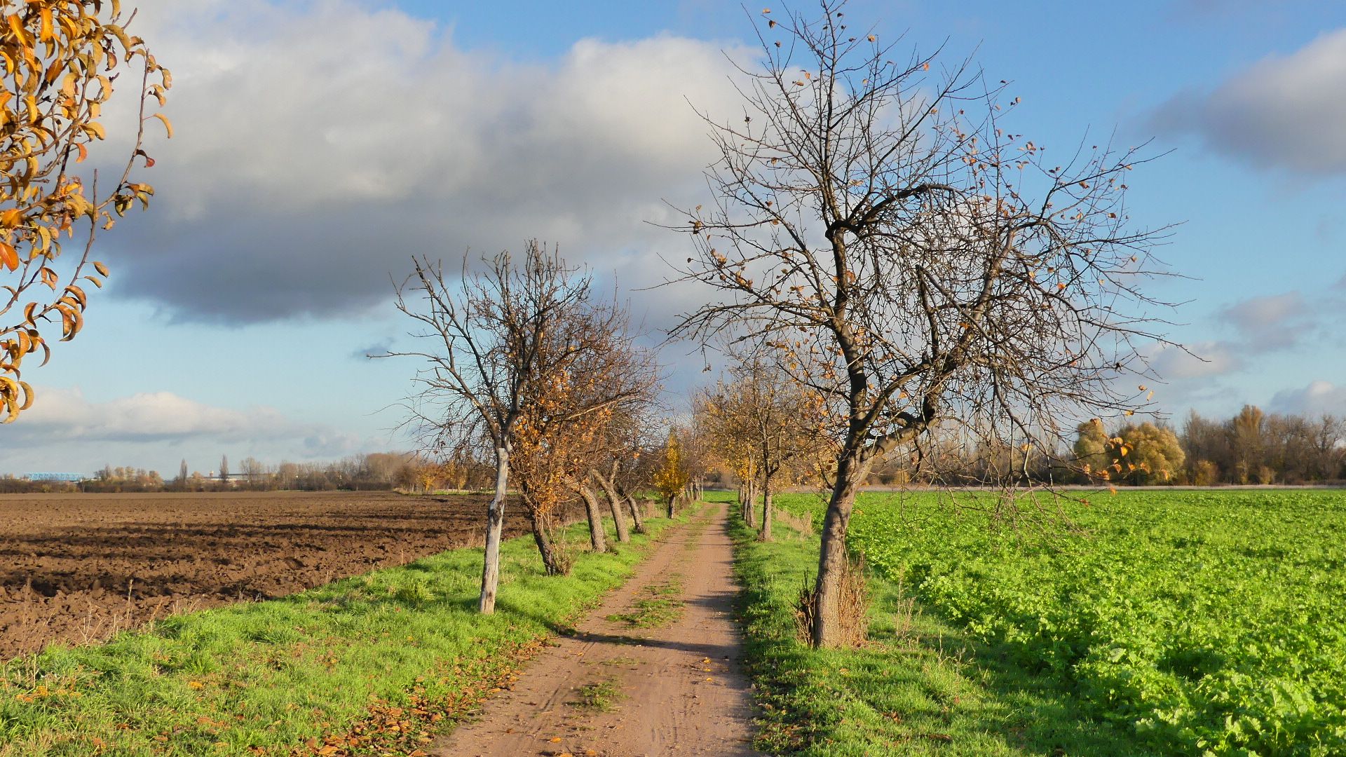 Radweg Güsten Ilberstedt
