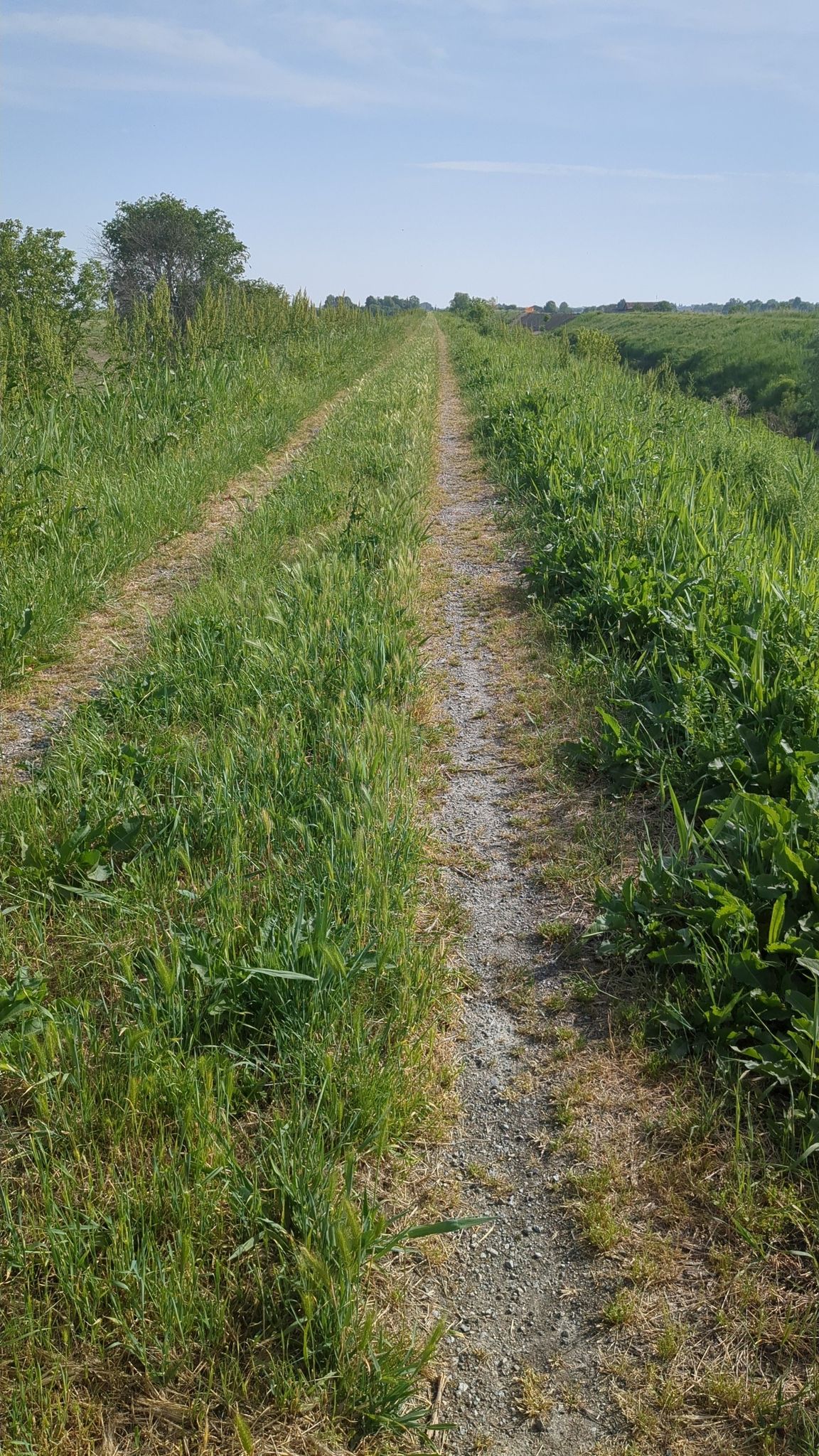 tratto argine... praticabile! Almeno per oggi 🤣