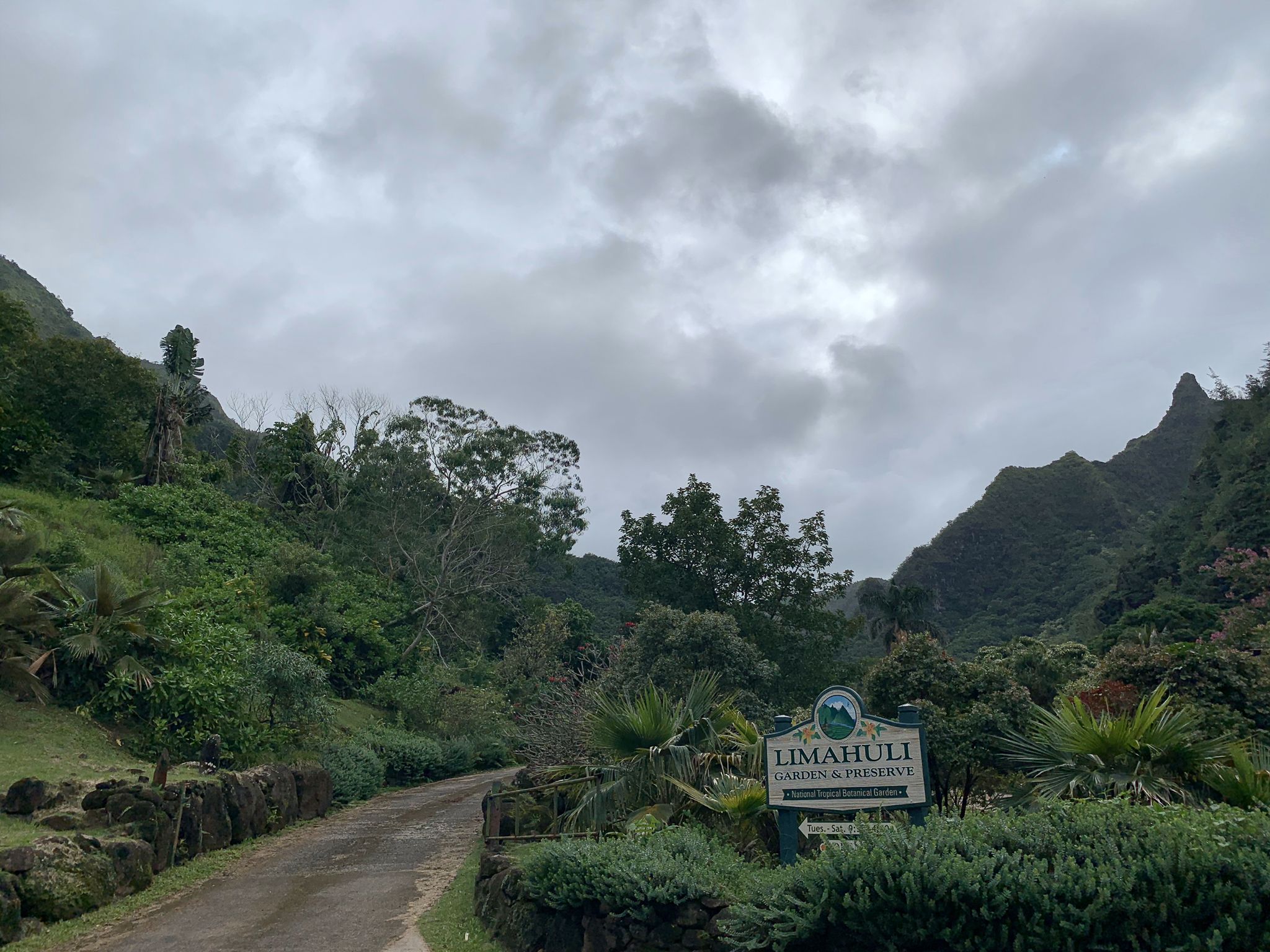 Road leads into a lush valley with mountains under a cloudy sky. - Limahuli Stream – Limahuli Garden & Preserve loop from Haena