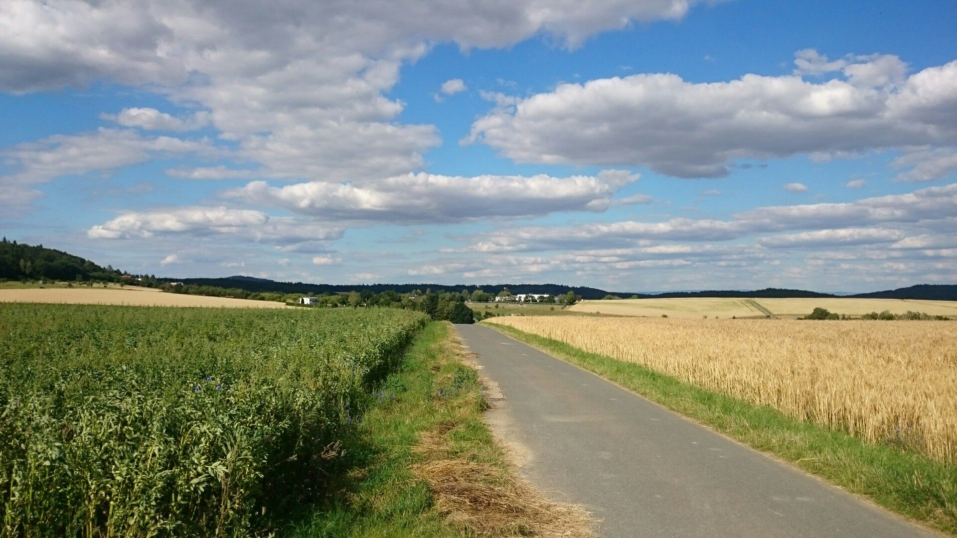 Auf der Wilhelmshöhe