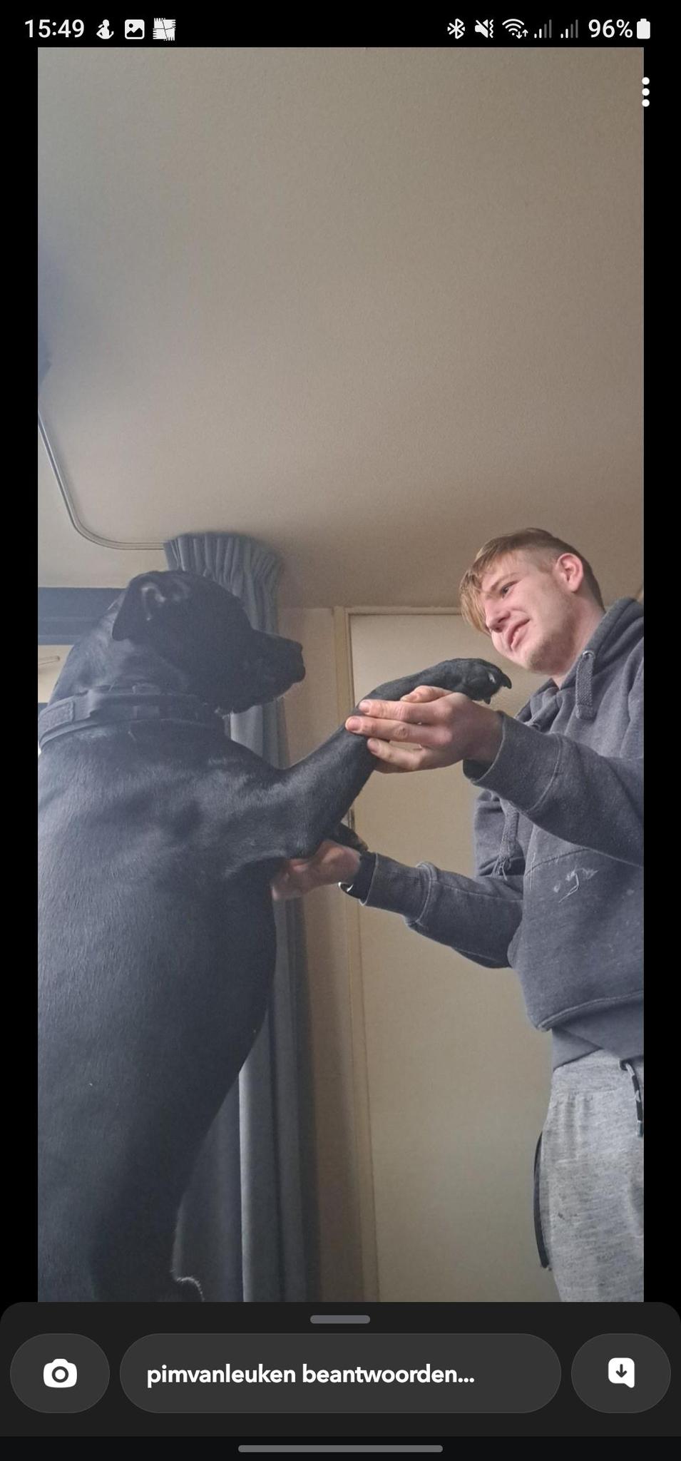 user avatar