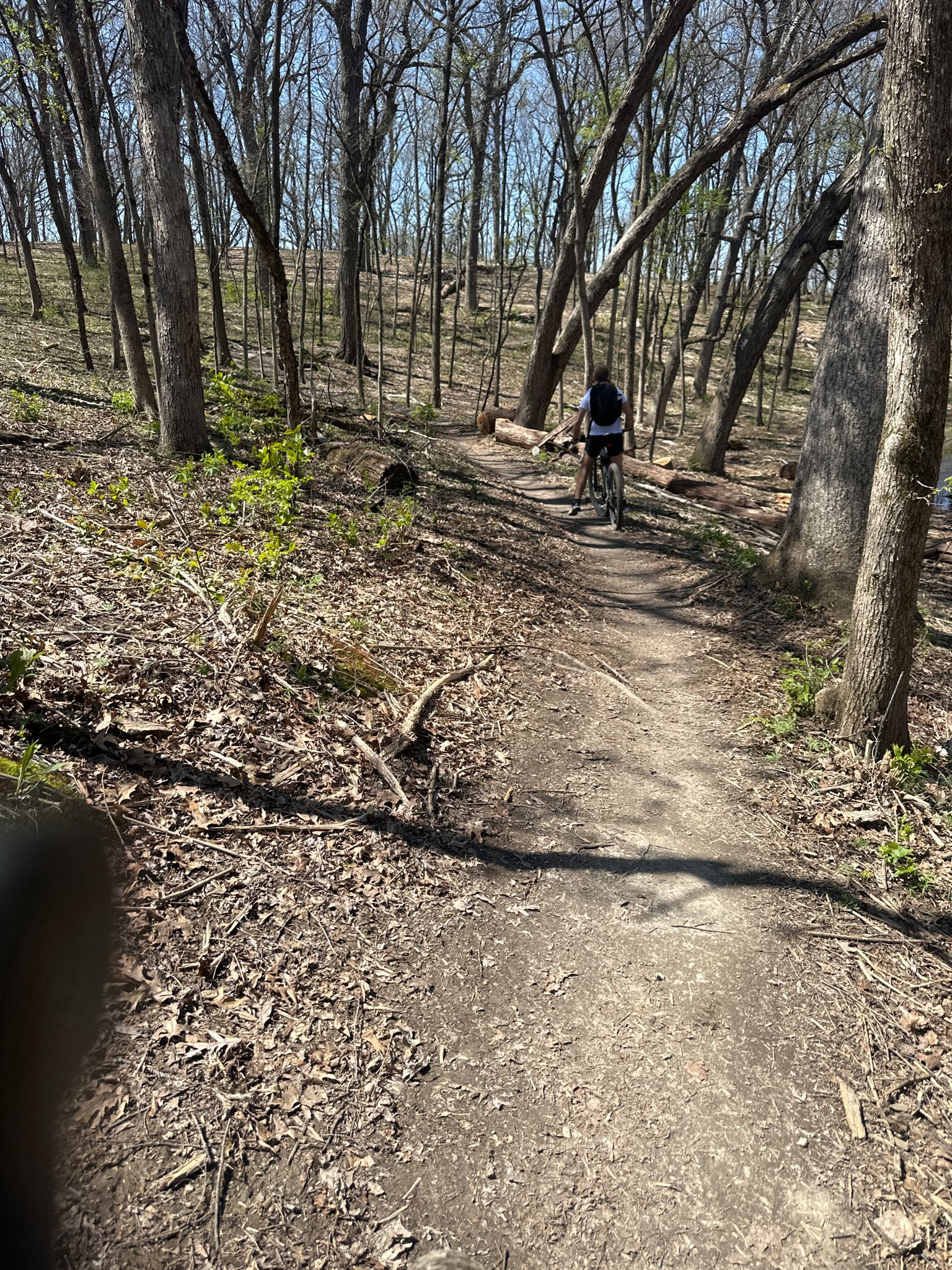 A person riding a bicycle on a dirt trail through a bare forest. - Yellow West Single Track